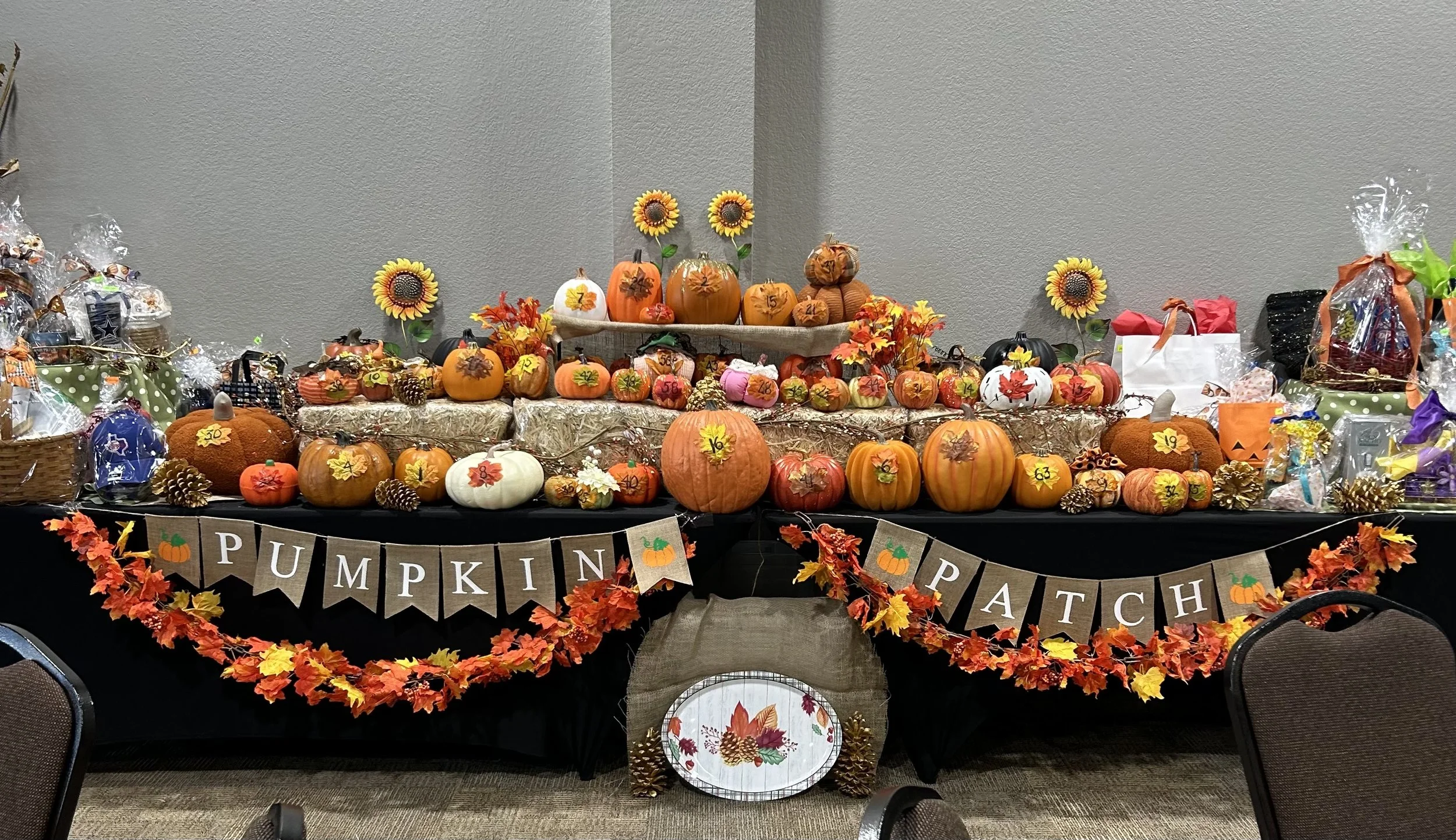 Pumpkin Patch.jpeg