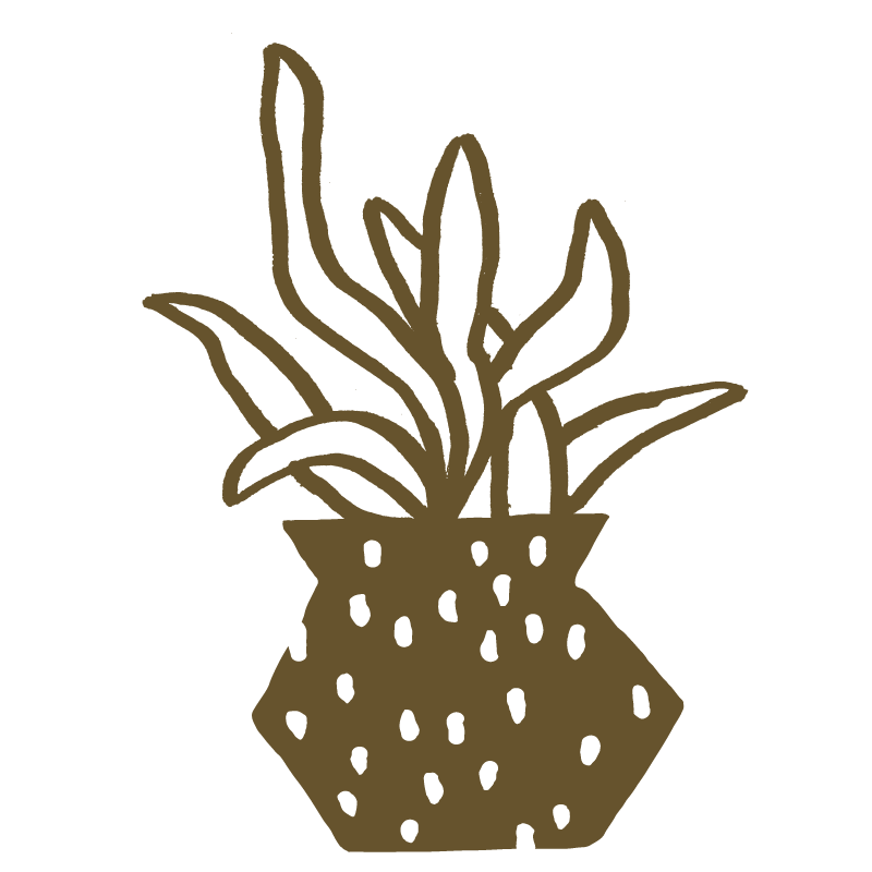 Line drawing of a potted plant with long, pointed leaves in a dotted pot