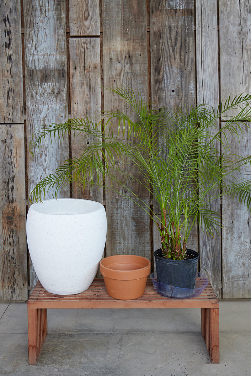 How (and Why!) to Use the Cachepot System for Your Houseplants — Flora  Grubb Gardens