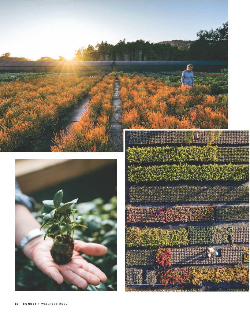 Grubb & Nadler wholesale plant growers in Sunset Magazine