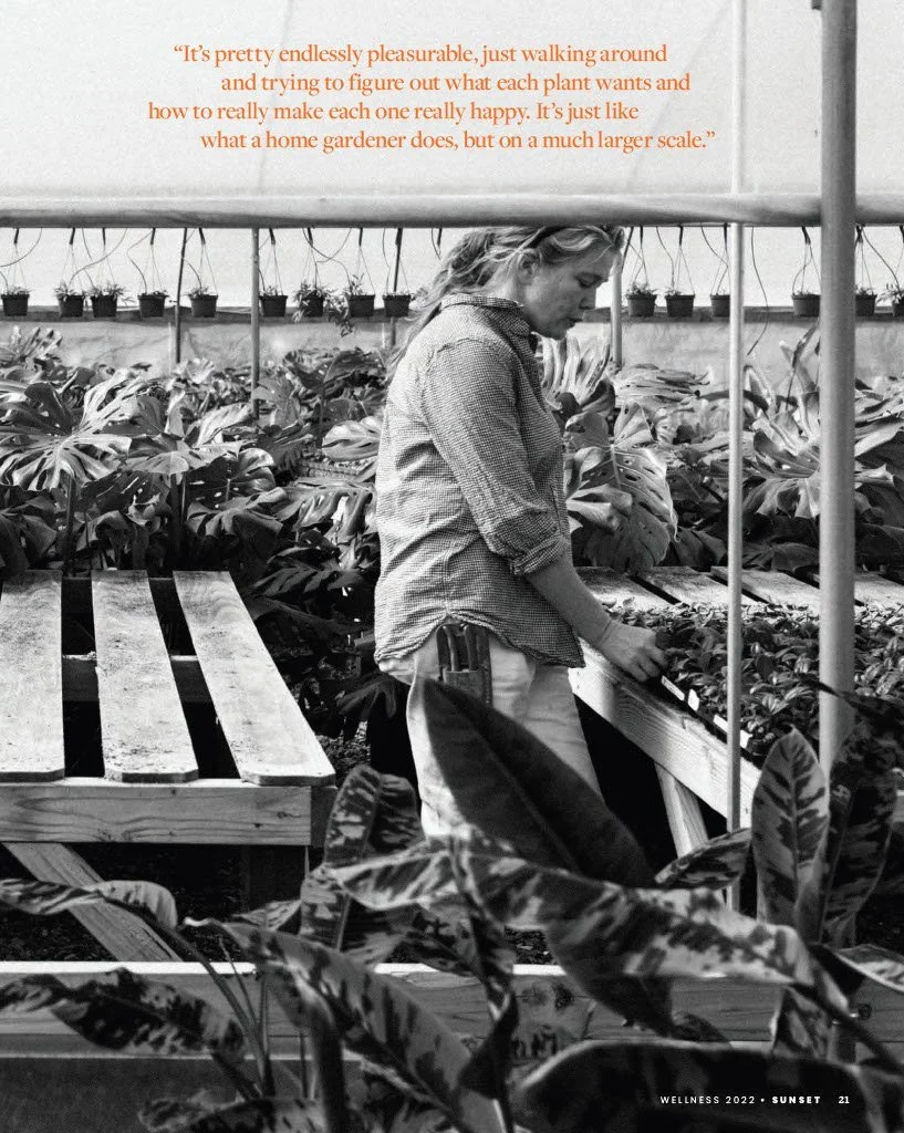 A woman working in a greenhouse, tending to plants on a wooden table, surrounded by large leafy plants and hanging pots.