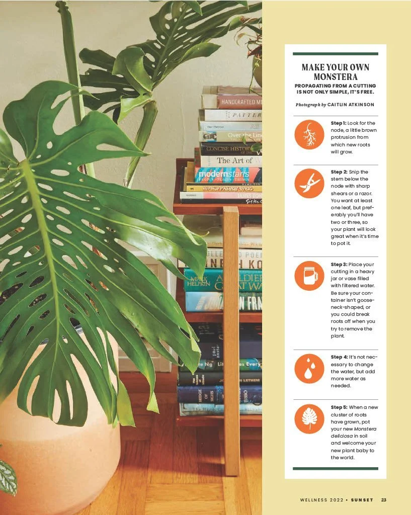 Grubb & Nadler wholesale plants in Southern California in Sunset magazine
