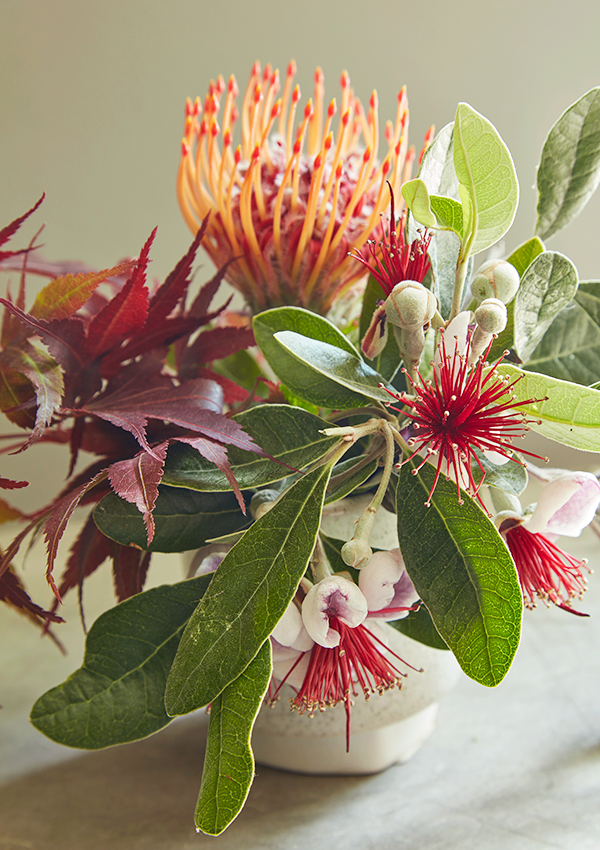 Flora Grubb Gardens Protea Cutting Garden for Mom.png