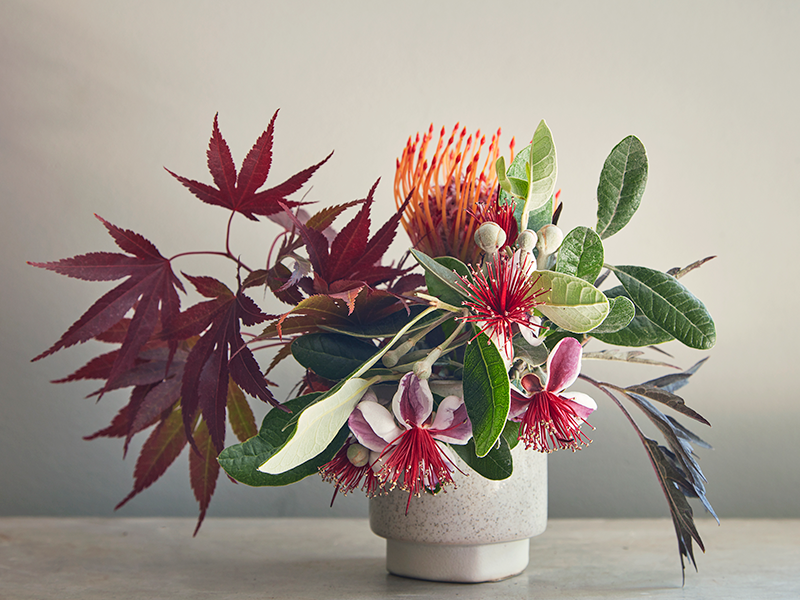 Flora Grubb Gardens Proteaceae and Japanese Maple Arrangement.png