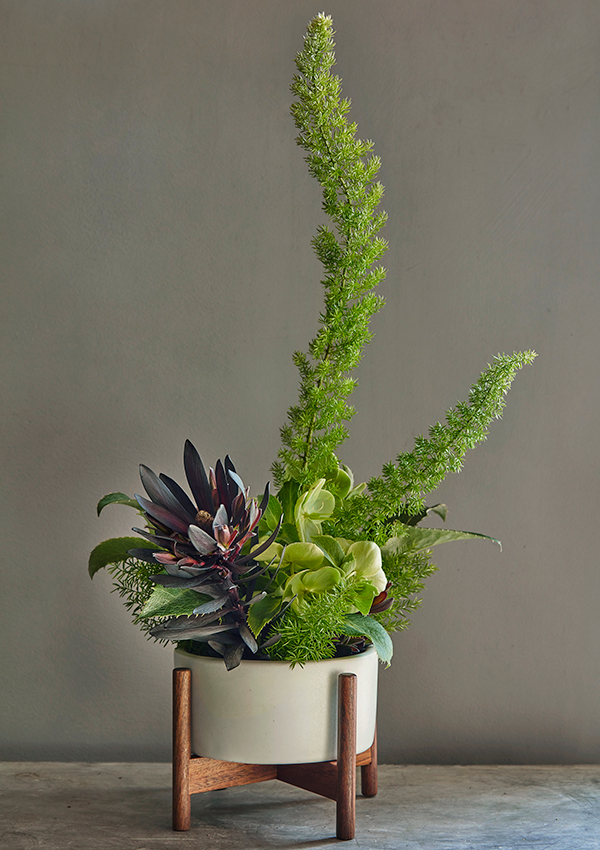 Flora Grubb Gardens Ikebana Cutting Garden.png