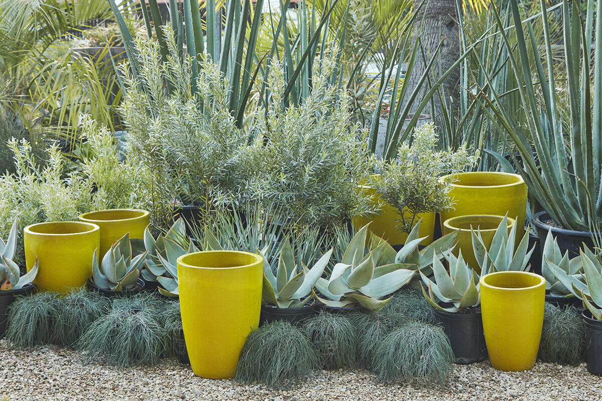 Image of Glazed ceramic pot garden