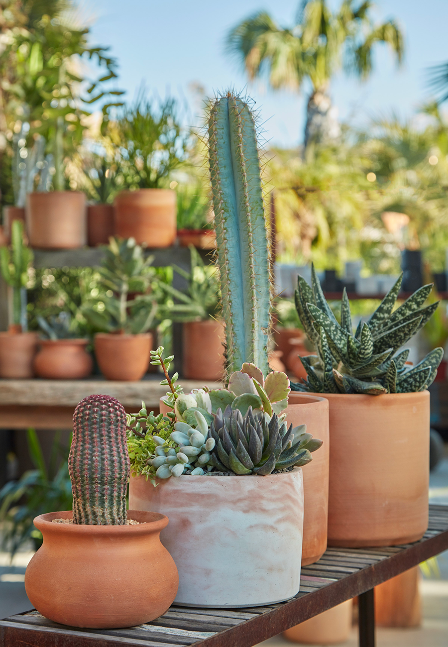 Pots & Planters