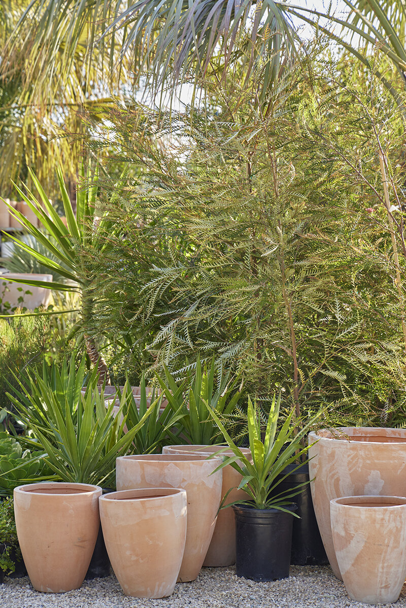 Dakota Fields Borger 3 - Piece Glazed Terracotta Pot Planter Set