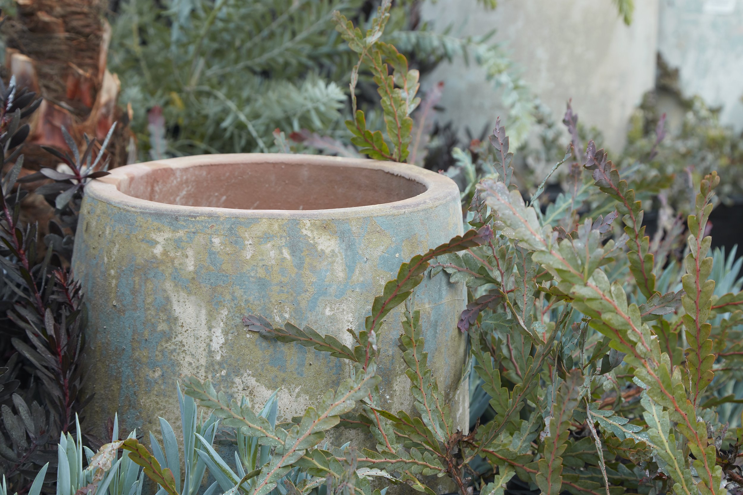 Pots and Planters — Flora Grubb Gardens