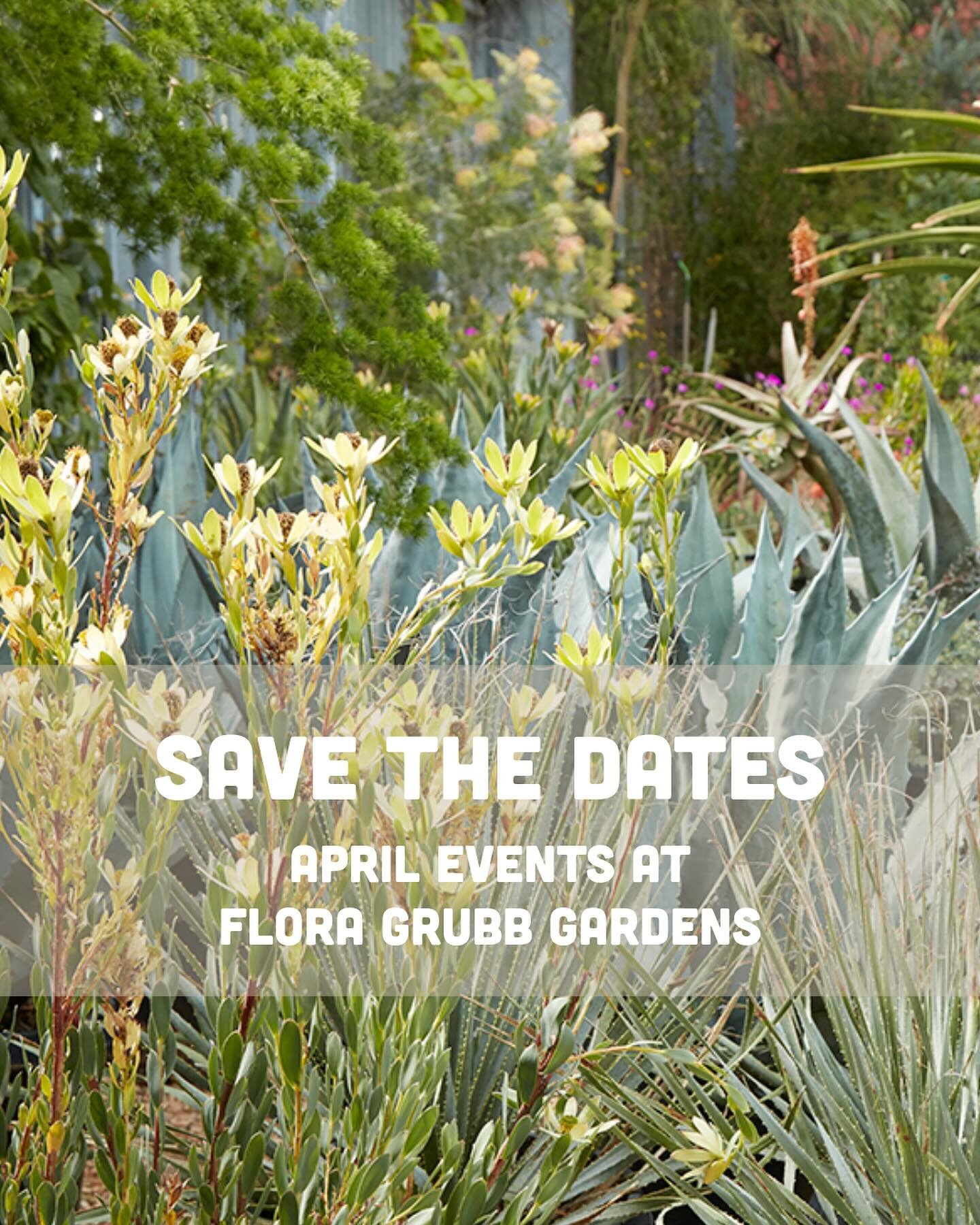 April events at Flora Grubb! 🌿 @hiltoncarter on 4/18 at Flora Grubb LA 💚 Cannabis Gardening workshop on 4/13 at Flora Grubb SF 🌵 Book launch party for Garden Wonderland by @pinehouseediblegardens and @juliechai on 4/21 in SF

Link in bio for detai