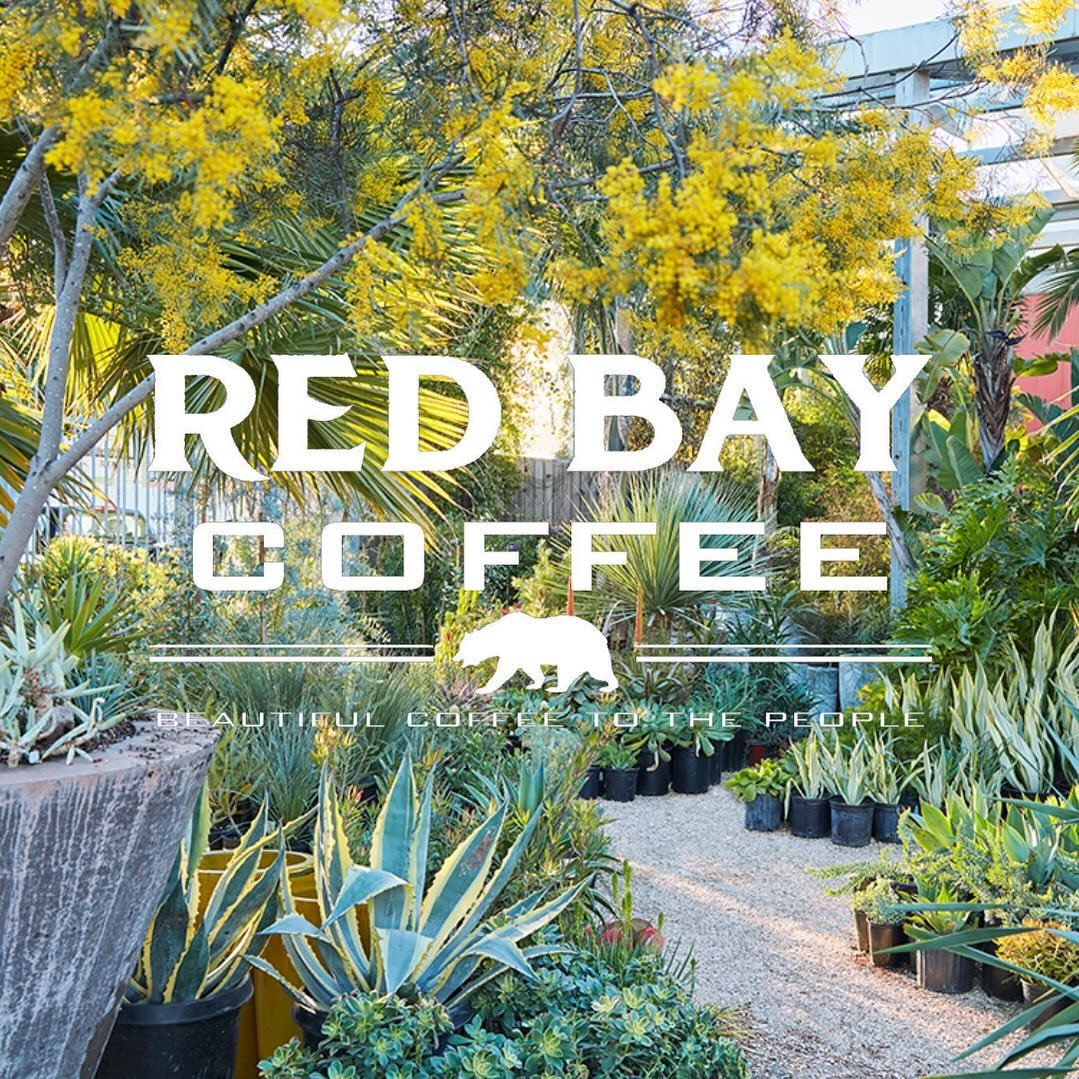 This Sunday 4/21 at Flora Grubb SF! @redbaycoffee will be popping up and pouring delicious drinks from 12pm-5pm. Come stroll the garden under the sun and treat yourself 💚

#floragrubbgardens #gardens #gardening #sanfrancisco #coffeepopup #plants #ga