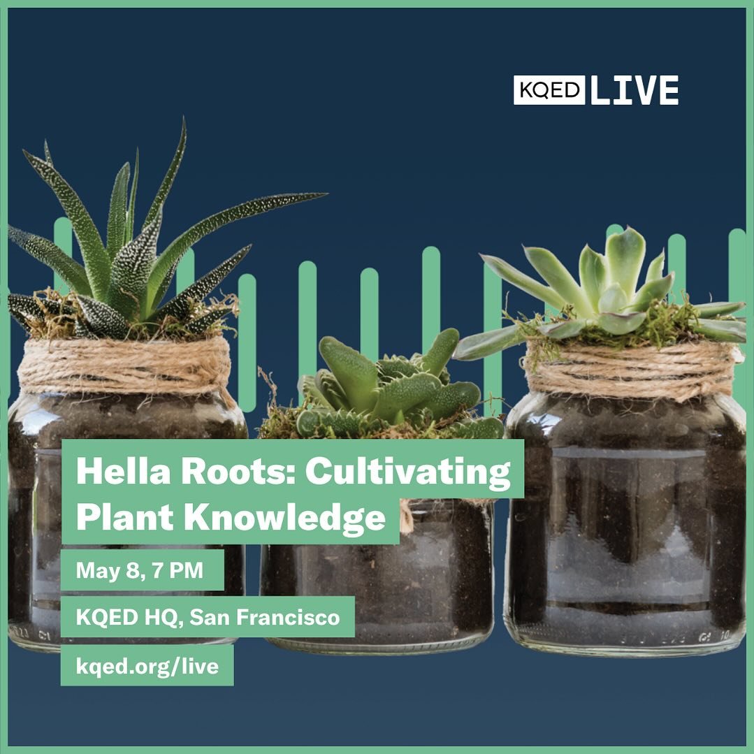 We&rsquo;re popping up at this fun @kqed_forum evening event this Wednesday 5/8 at @kqed in SF! Join us.

🌿🌱 Embrace the green revolution at &lsquo;Hella Roots: Cultivating Plant Knowledge&rsquo;! Whether in person or via livestream, join host Alex