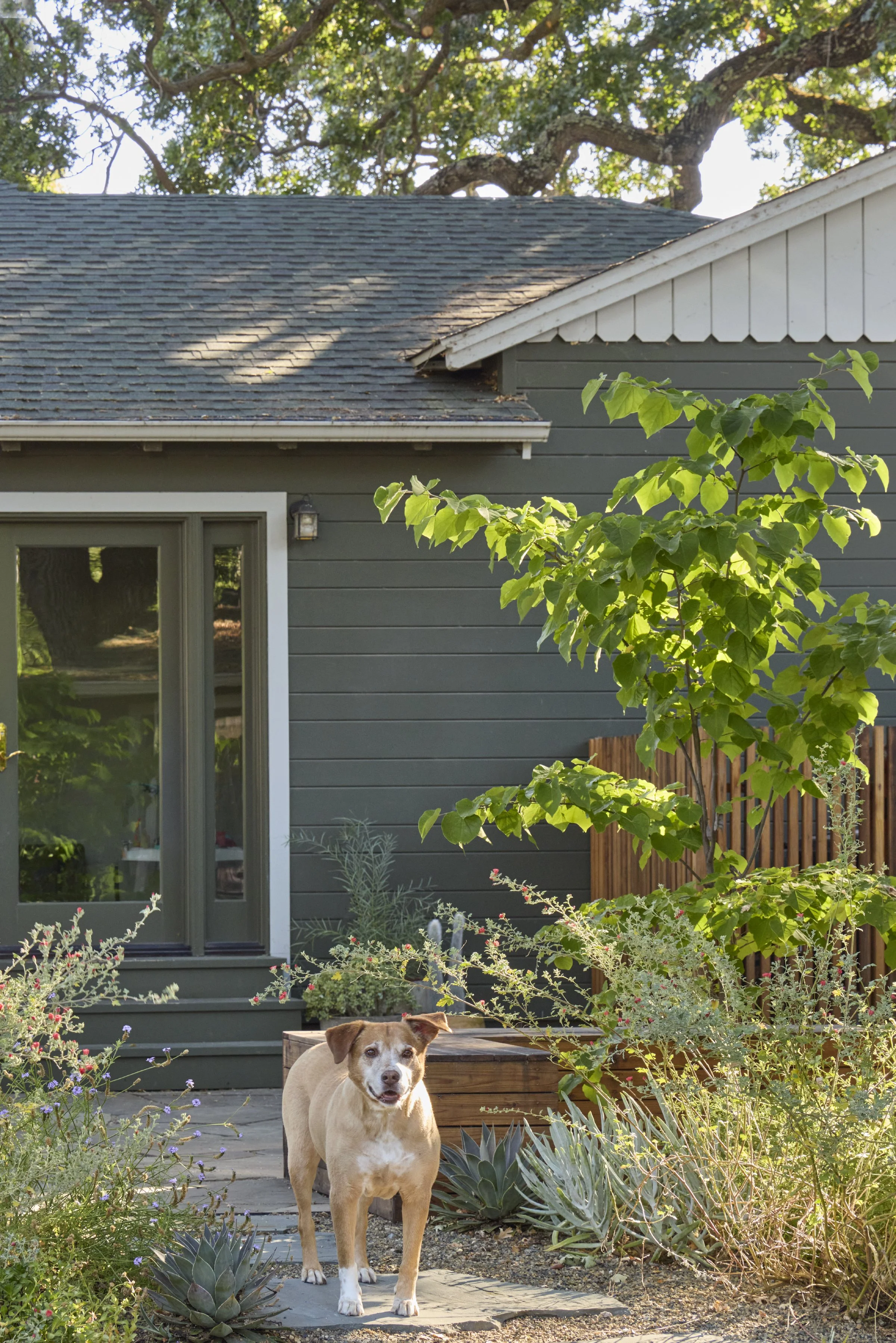 Copy of cherry2506-073.jpg