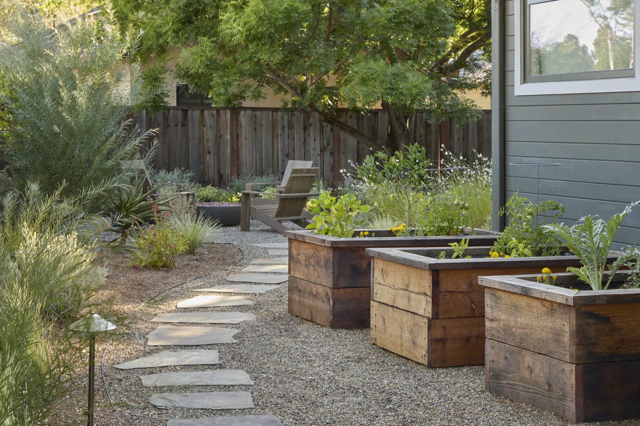 Copy of cherry2506-128.jpg