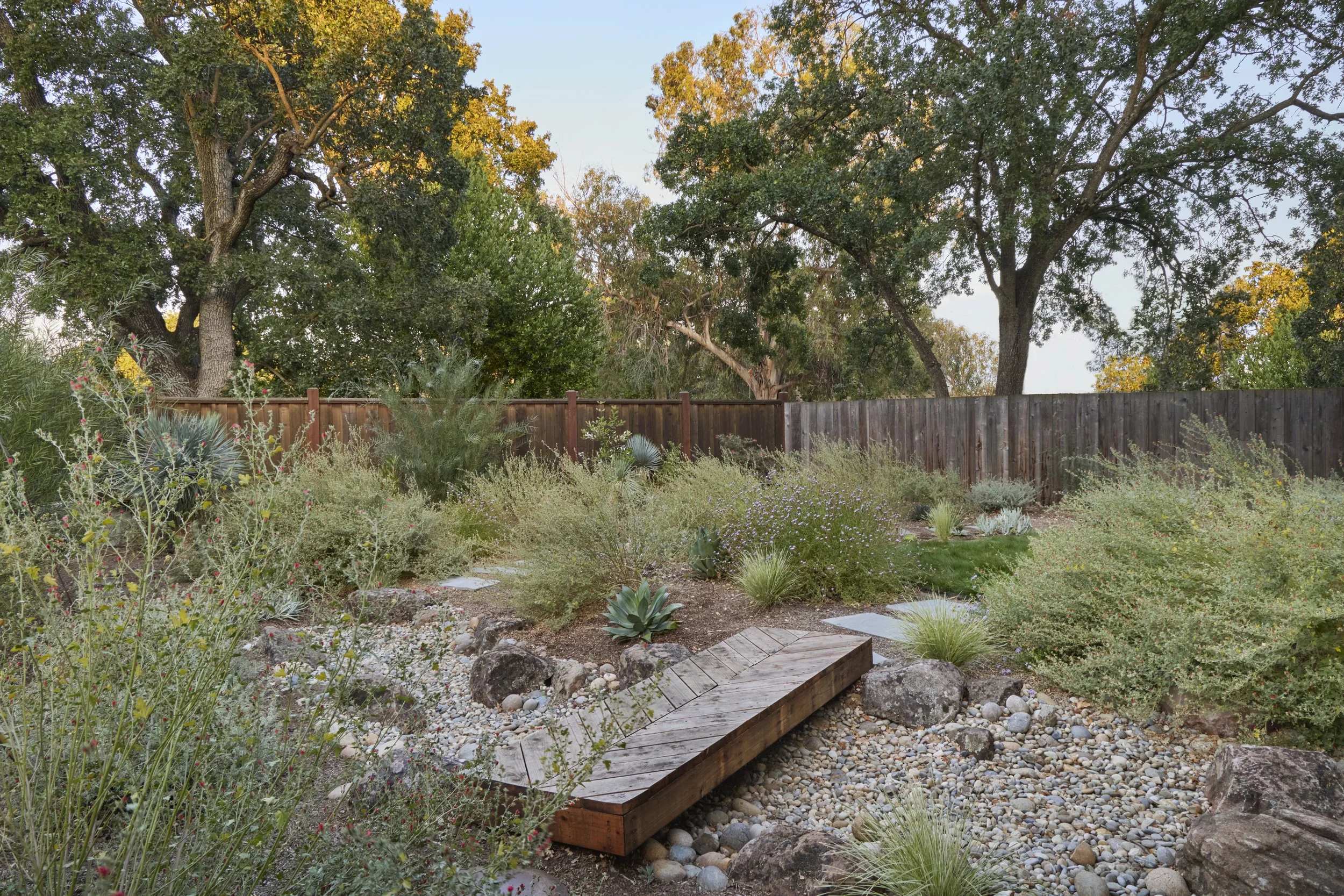 Copy of cherry2506-378.jpg