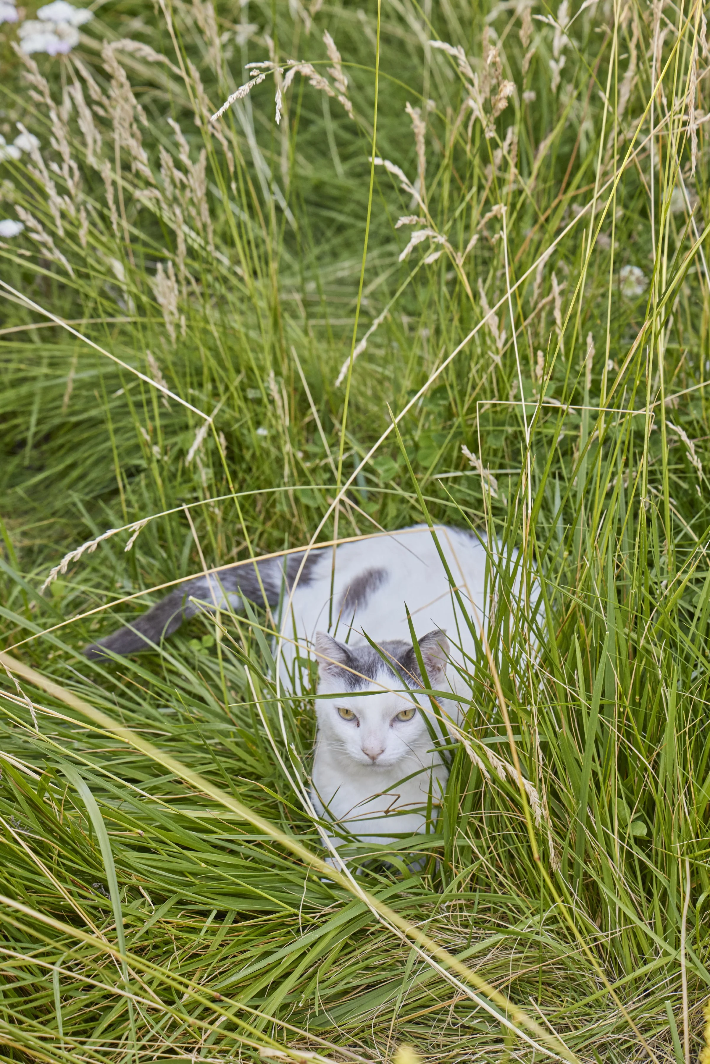 Copy of riley2307-043.jpg