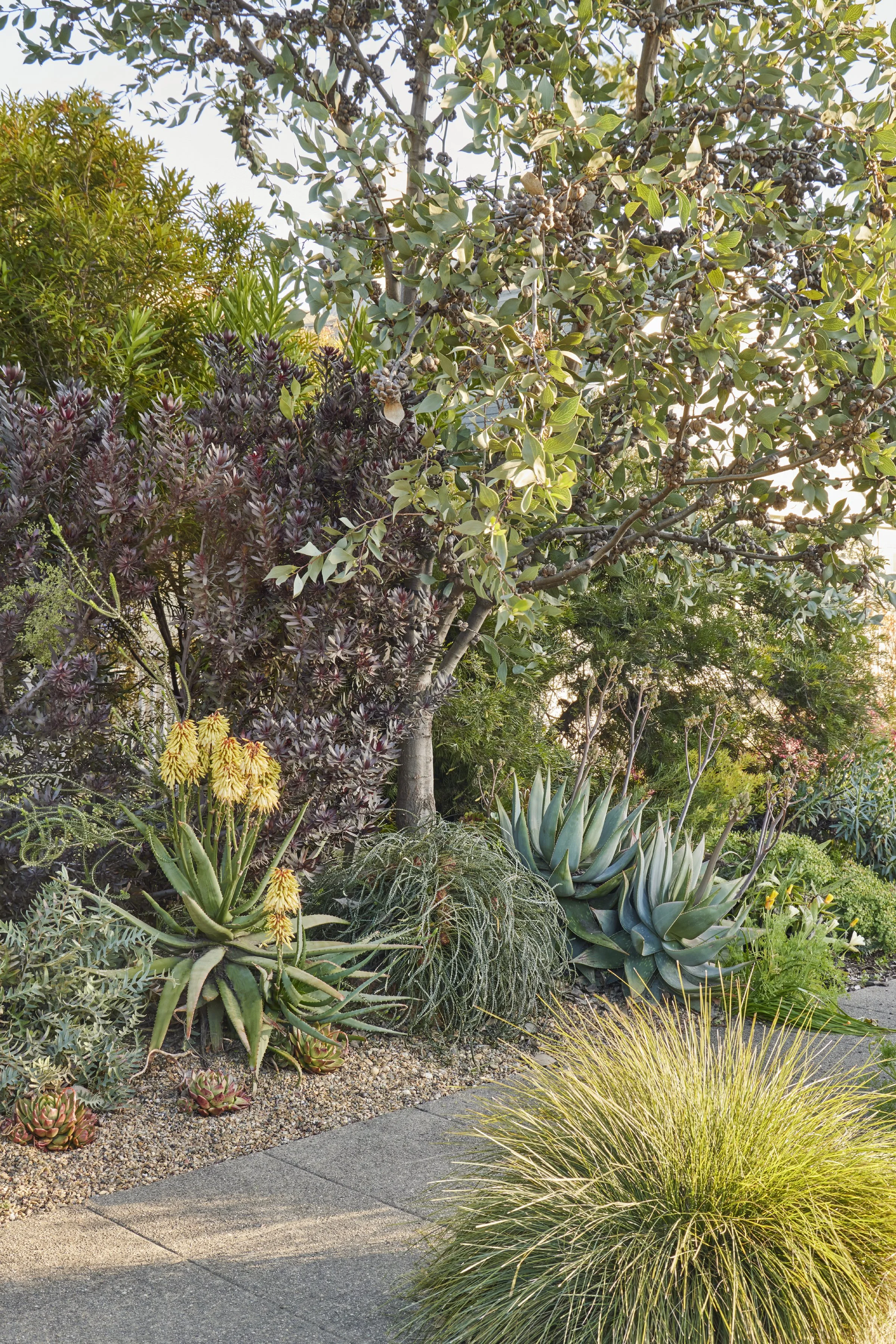 Copy of pg267_295_mcgregor2304-164_CA.jpg