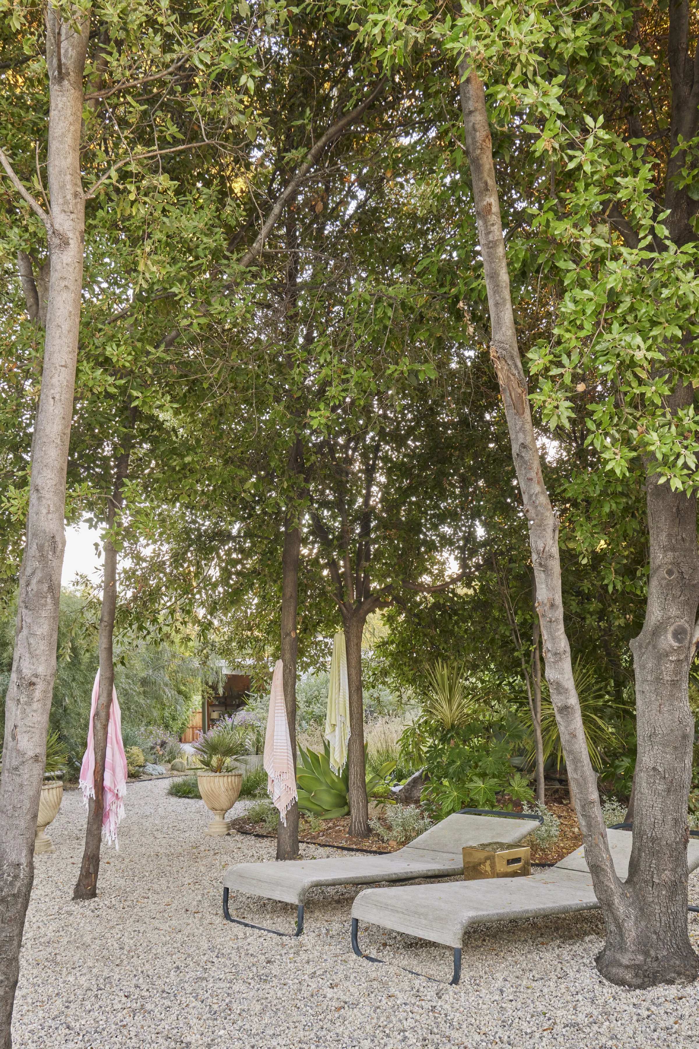 Copy of riley2307-237.jpg