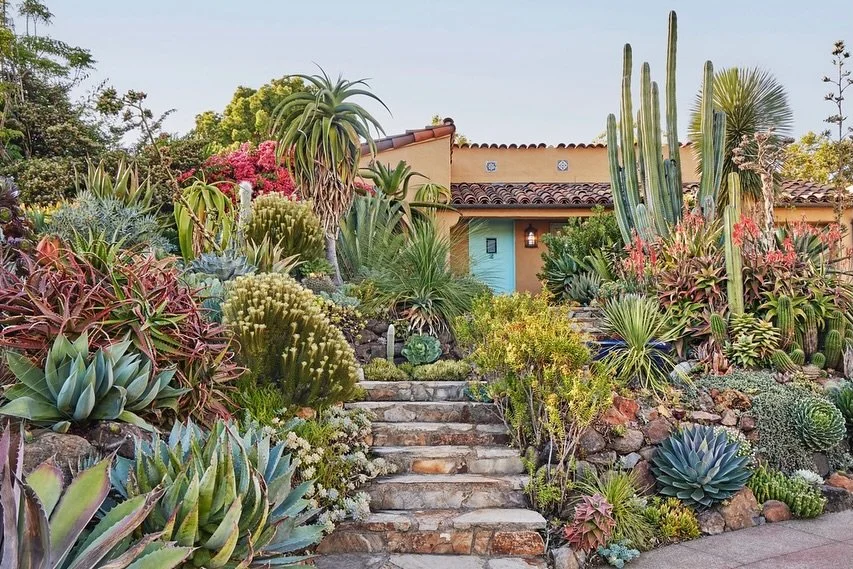 Tomorrow at Flora Grubb Gardens SF🌿
Join us for Designing the Lush Dry Garden &mdash; a conversation with the authors and photographer, moderated by Flora Grubb.
Learn how to create gardens that are vibrant, climate-resilient, and deeply personal.