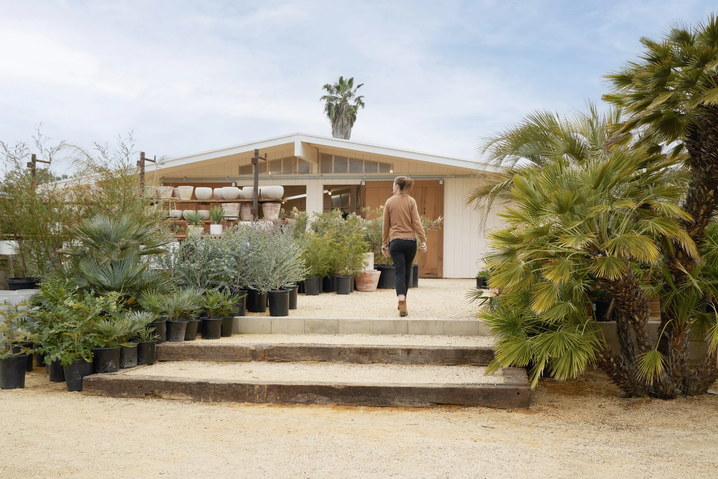 A person walks up a set of wooden steps towards a garden center or nursery filled with potted plants and succulents, with a building in the background and a cloudy sky overhead.