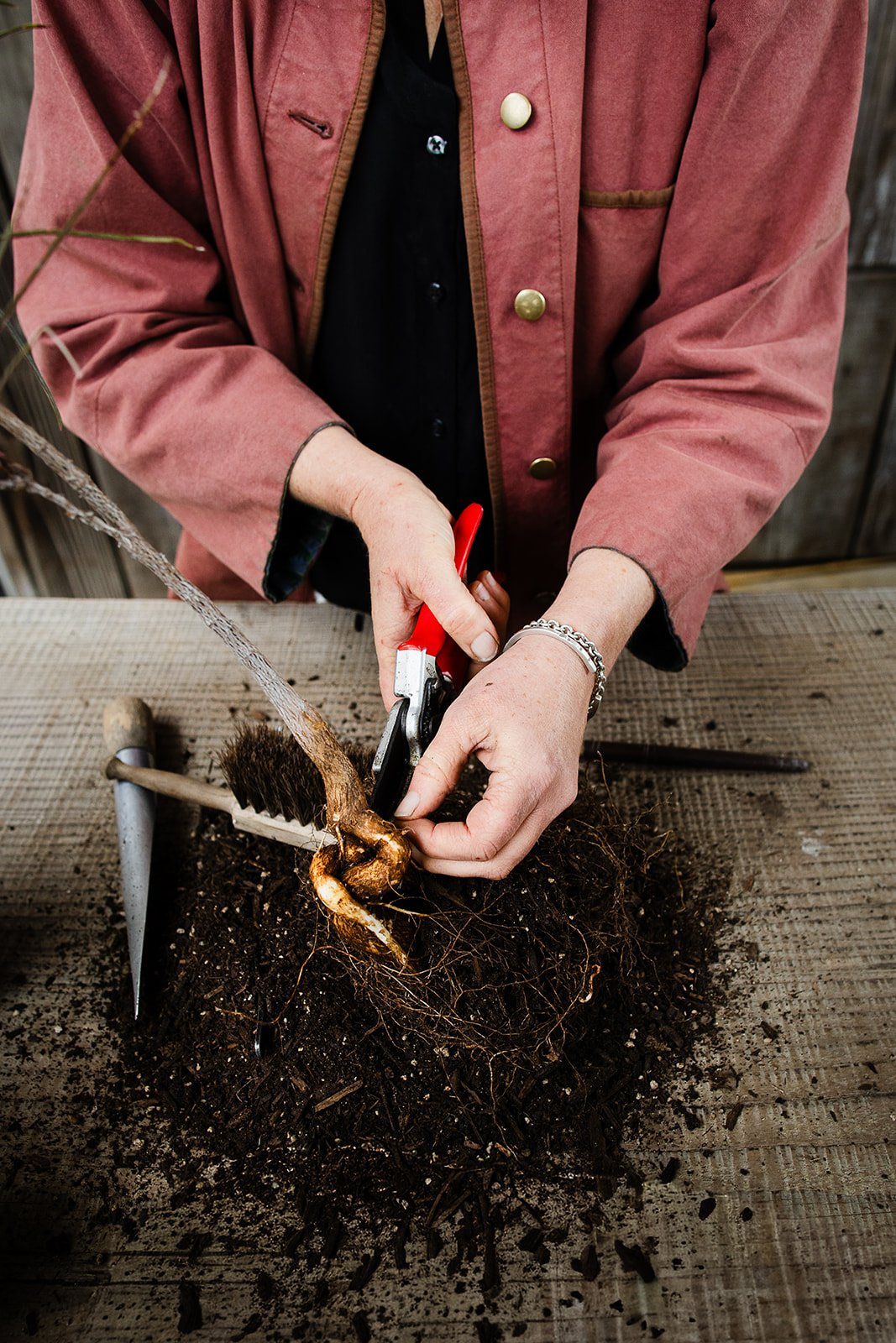 Remove some of the extraneous roots