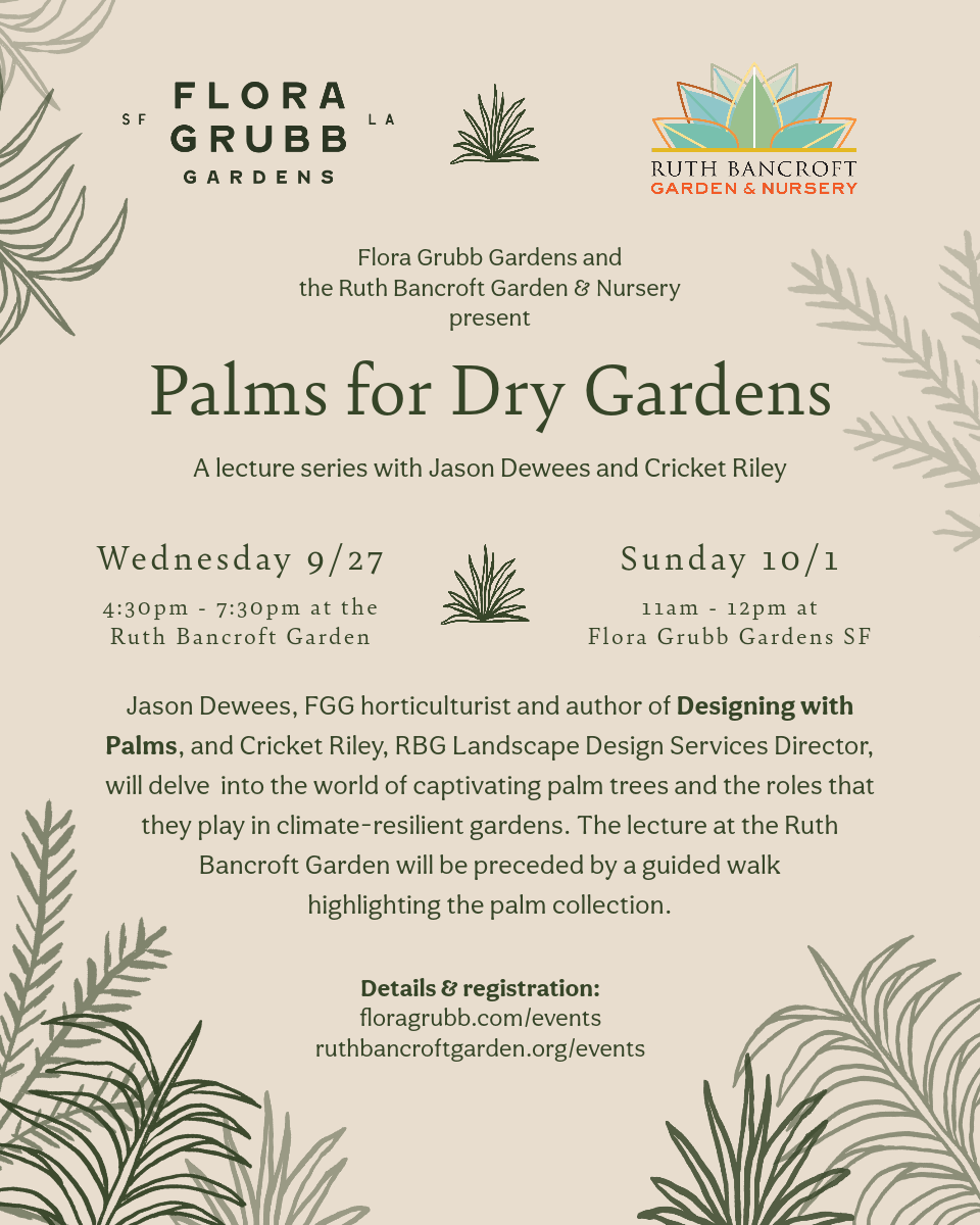 Palms for the Dry Garden at Flora Grubb SF — Flora Grubb Gardens