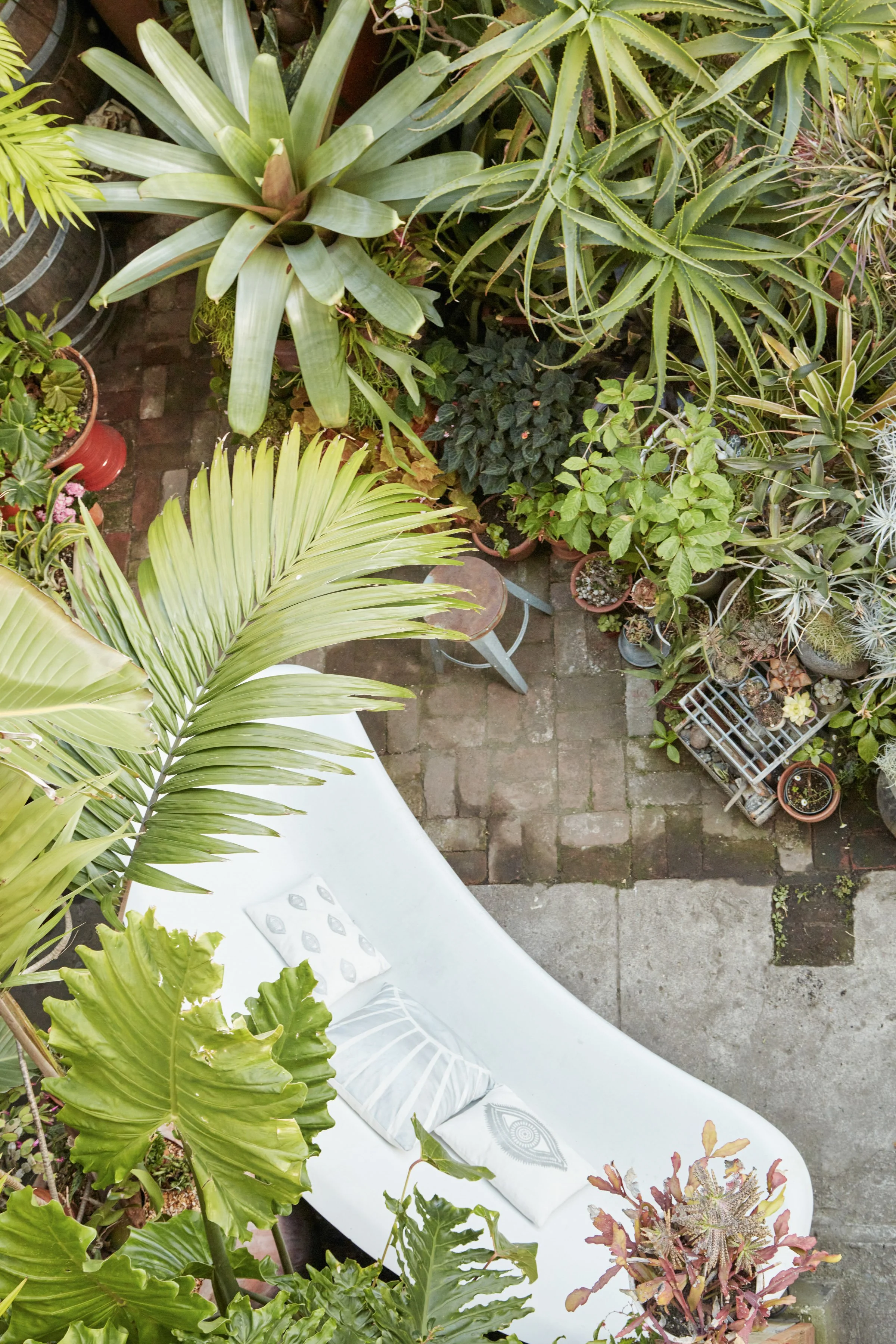 A white outdoor bench with pillows surrounded by a lush variety of potted tropical plants and succulents on a brick and concrete patio.