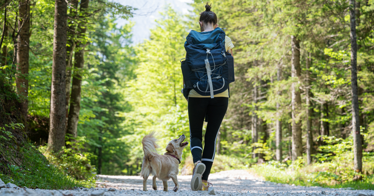 Mental Wellness Tips