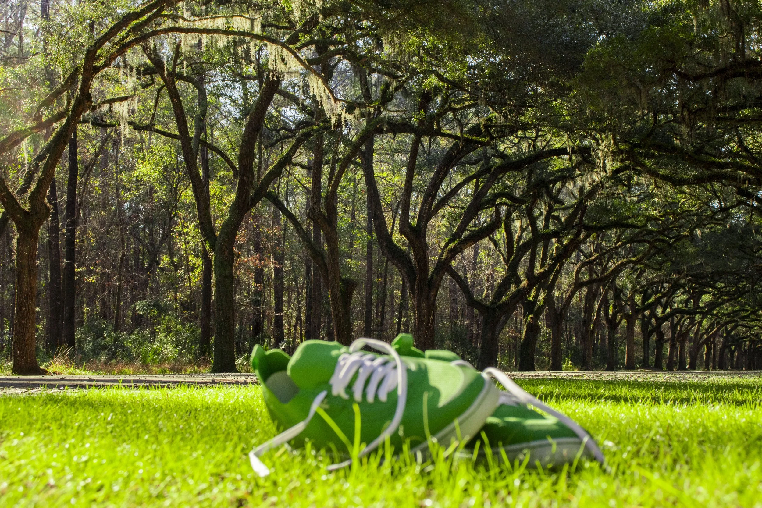 made+_Stills_Shoot_#2_02_08_26_Edit_9 copy.jpg