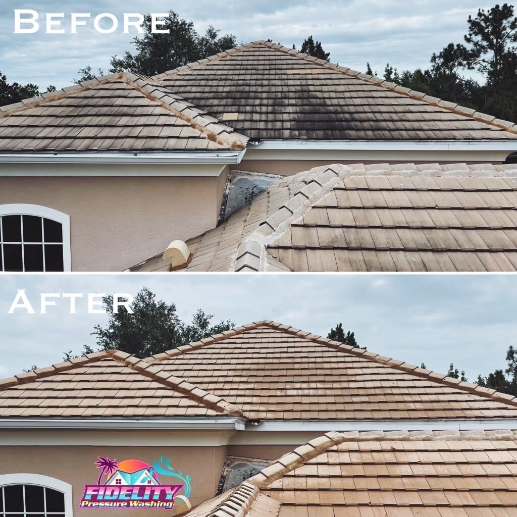 🌟 Enhance Your Home Investment with Roof Cleaning! 🌟

Investing in your home's appearance has never been easier! Fidelity Pressure Washing offers expert advice, solutions, and the results you need to meet your goals. Discover the benefits of profes