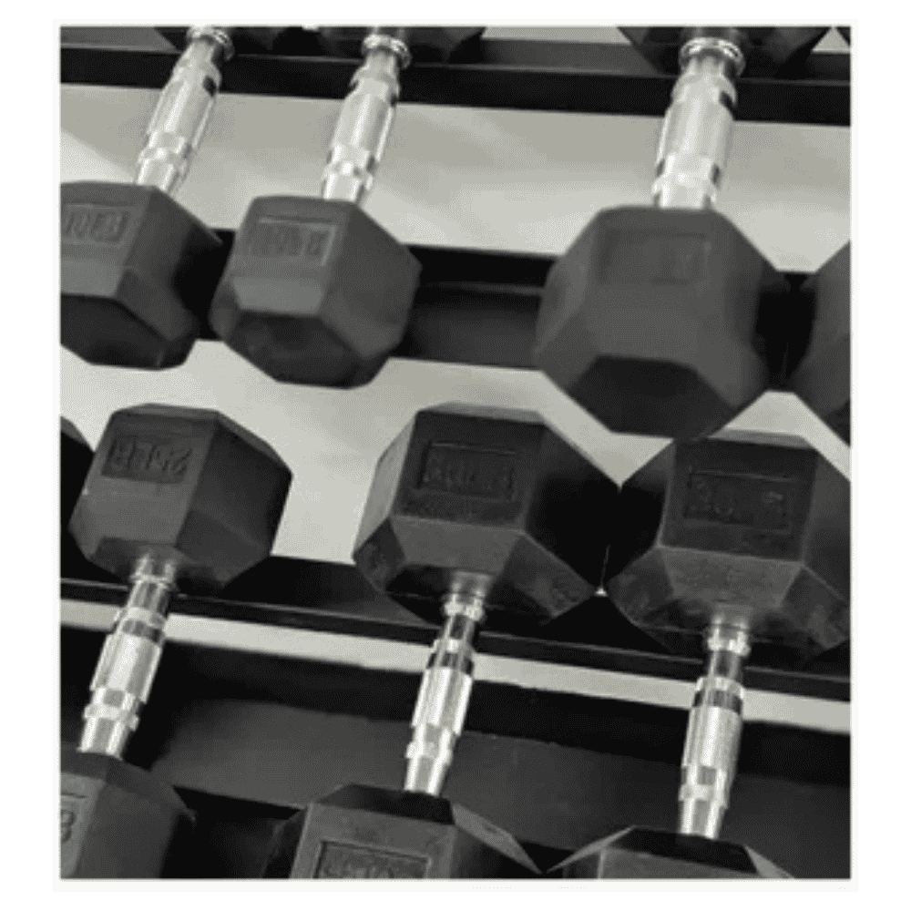 Gym dumbbells