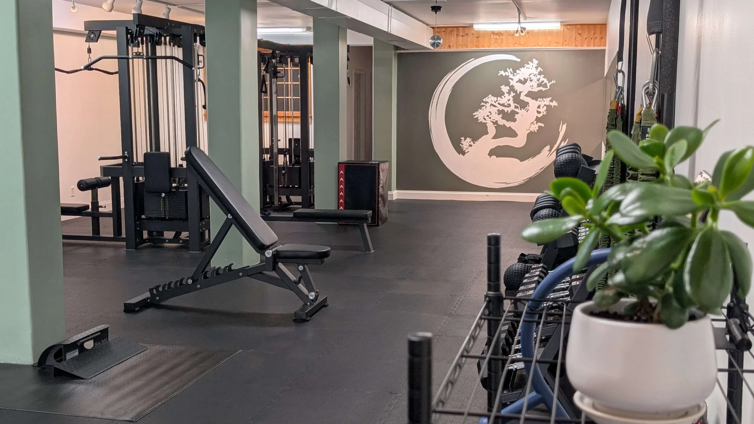 strength and conditioning studio
