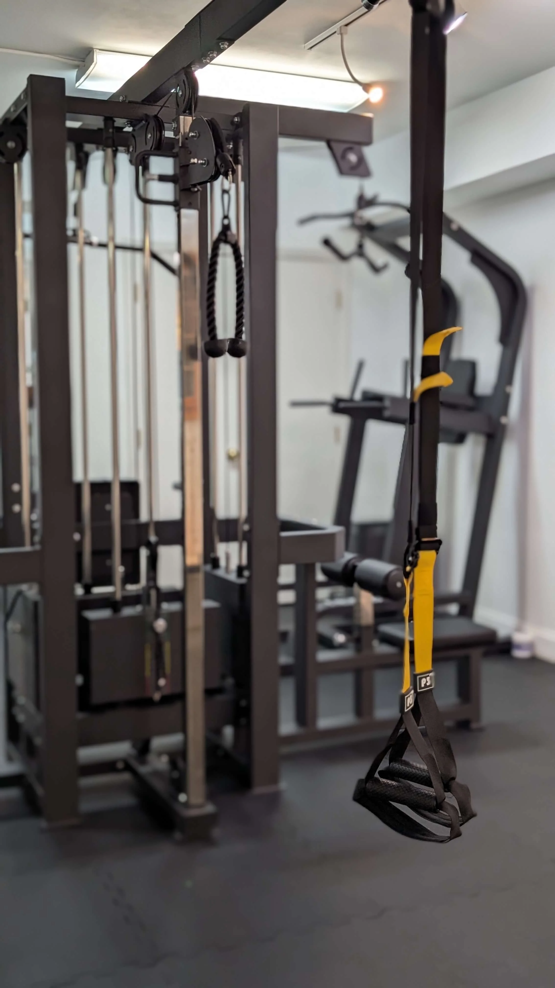 metabolic