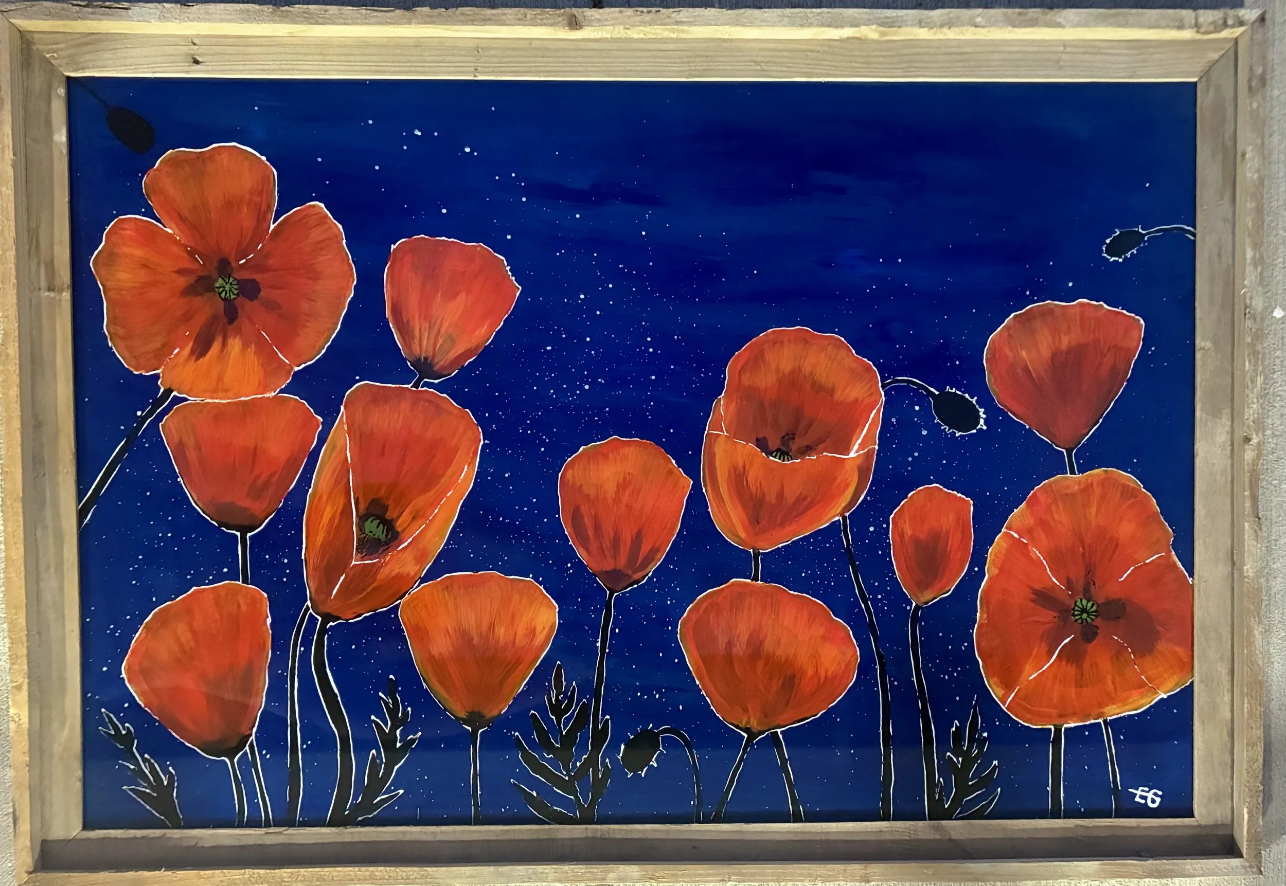 Midnight Poppies