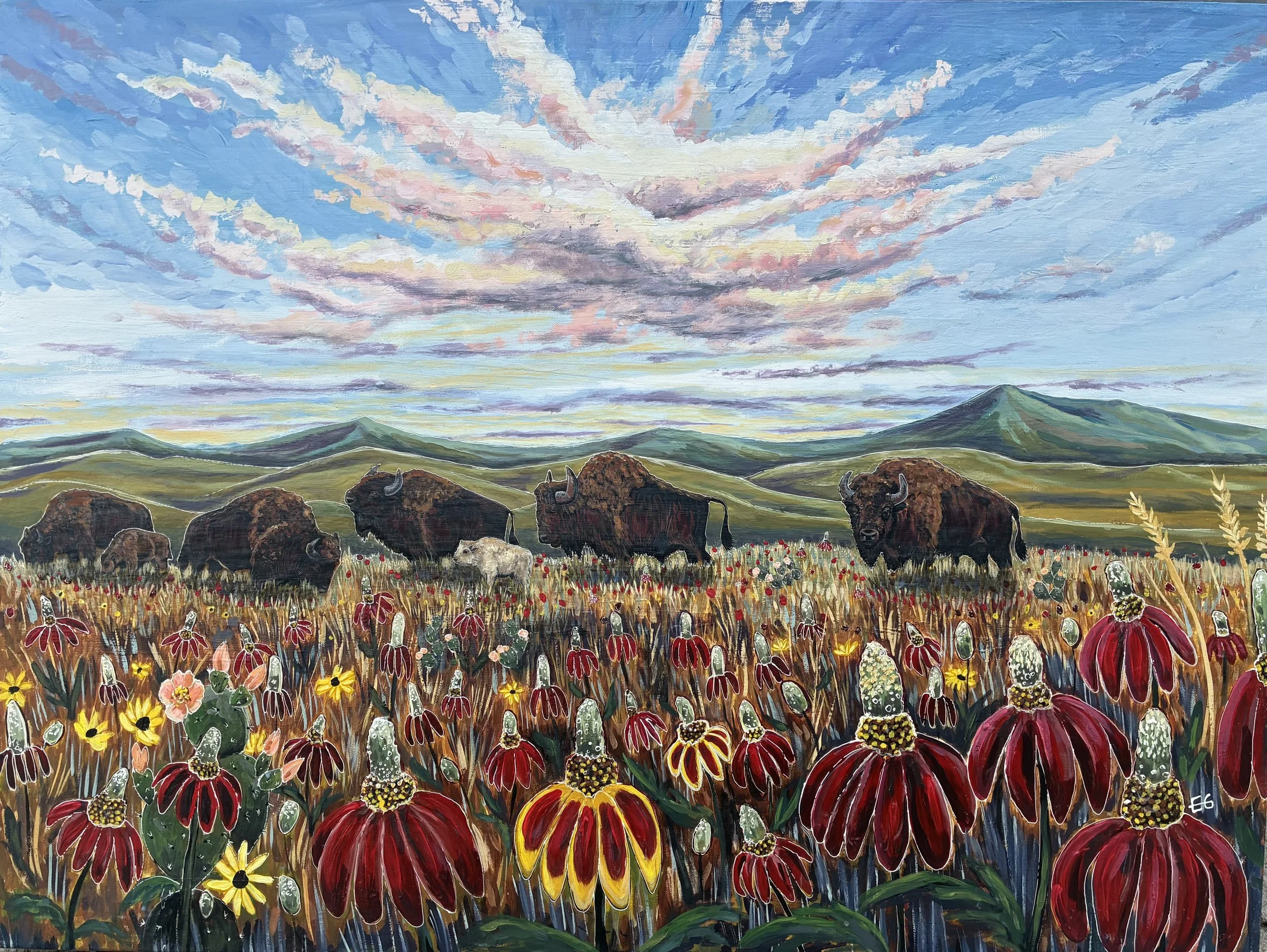 Buffalo & Mexican Hat Flowers - Acrylic