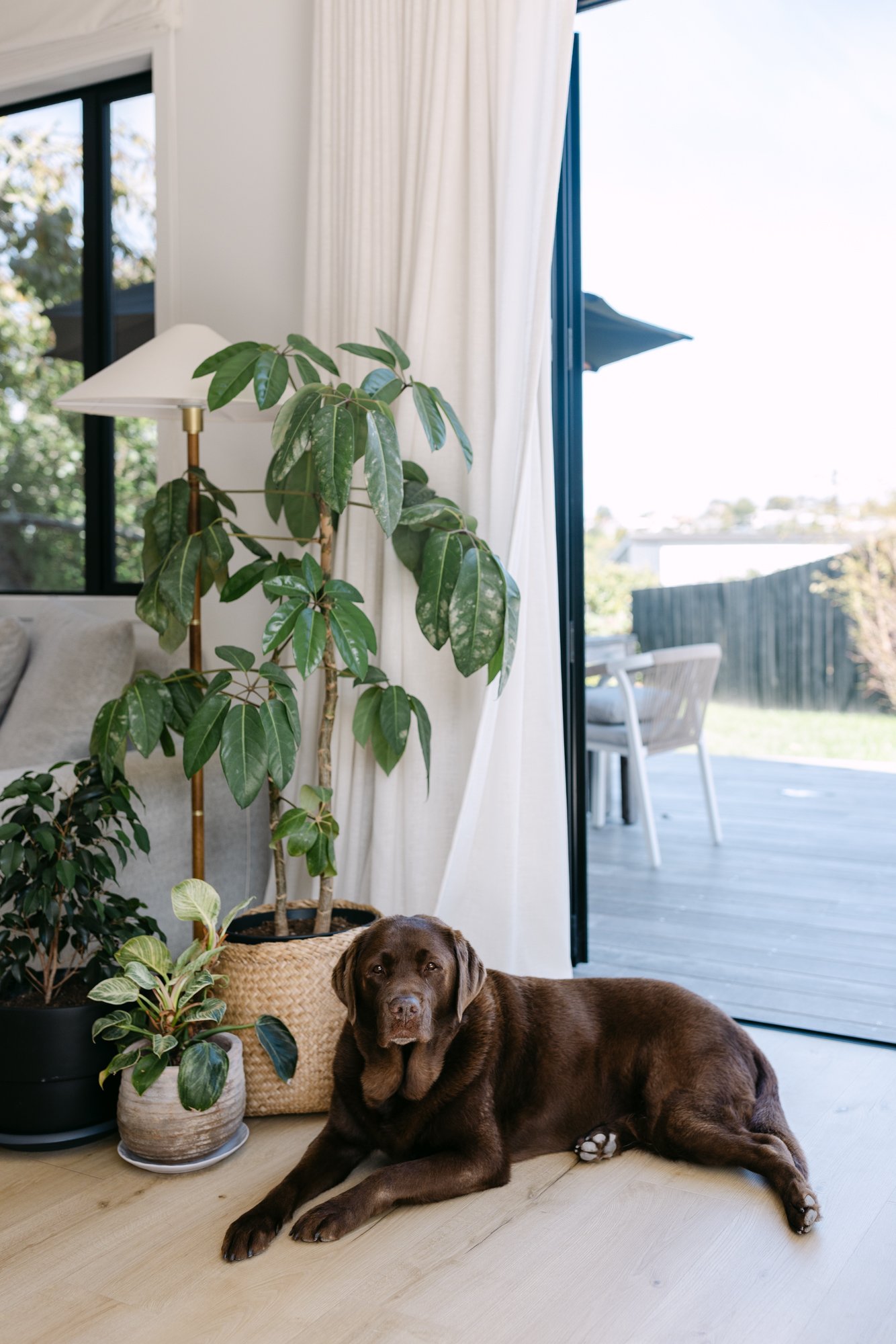 HayleySmith-AucklandArchitect-27.jpg