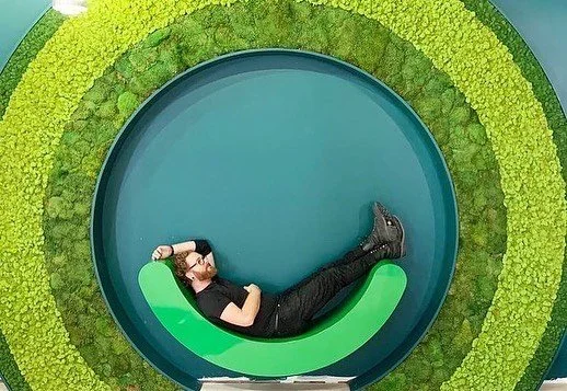 Moss Wall w/ One Hat One Hand // Olly // San Francisco, CA