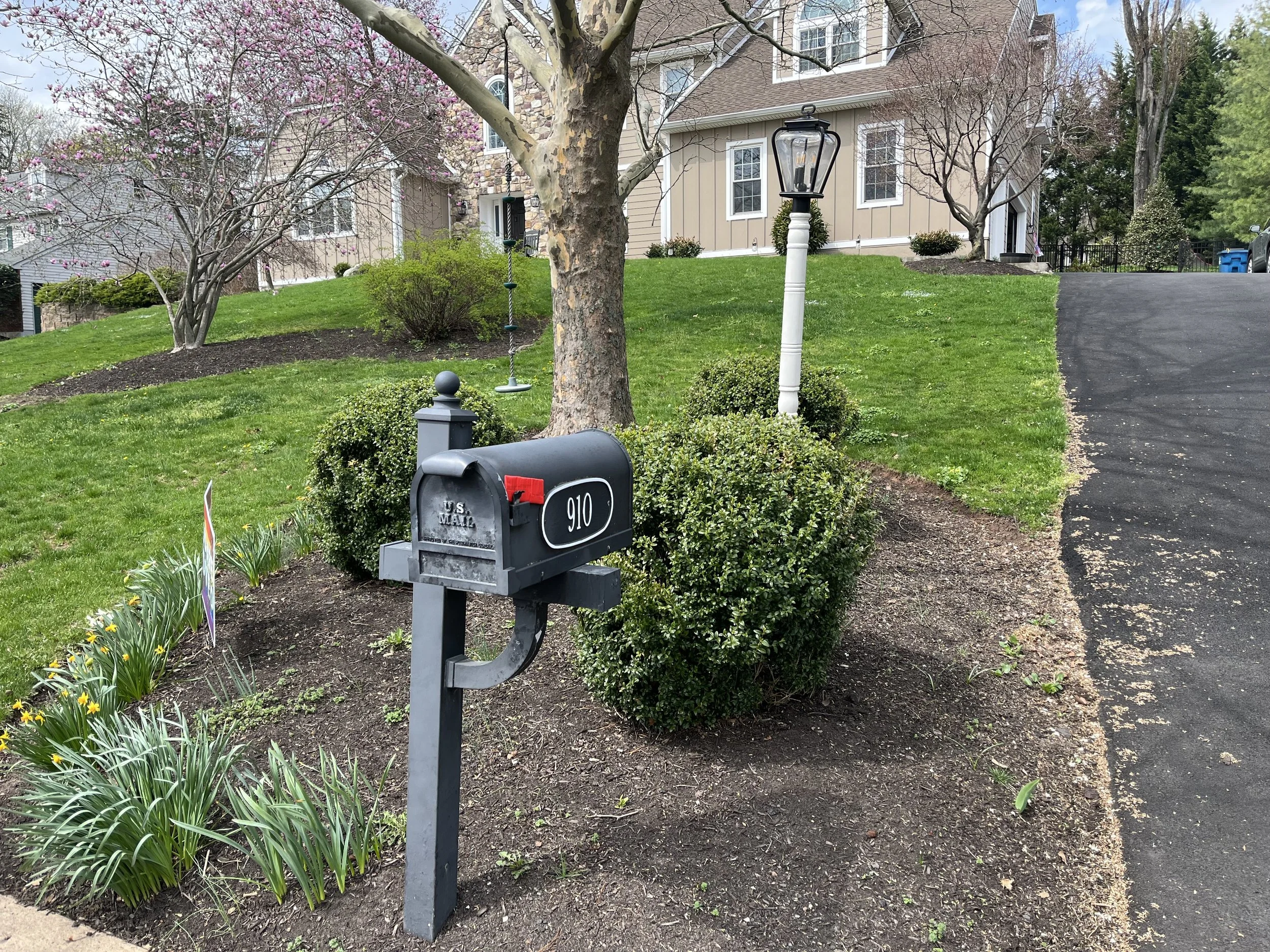 A residential front yard with a black mailbox marked with the house number 910, a concrete walkway, a green lawn, a large tree with budding branches, pink blossoms, a decorative lamppost, a birdhouse hanging from the tree, and a house with beige siding and stone accents in the background.