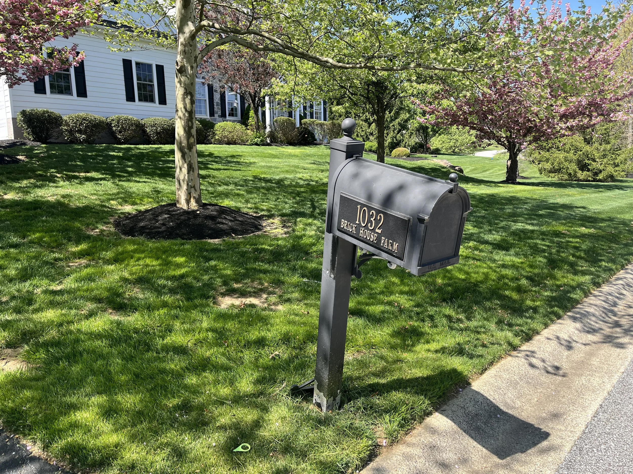 A suburban front yard with green grass, several blooming pink and white trees, and a white house with black shutters. A black mailbox with the address 1032 and the words 'Brick House Farm' is near the sidewalk.