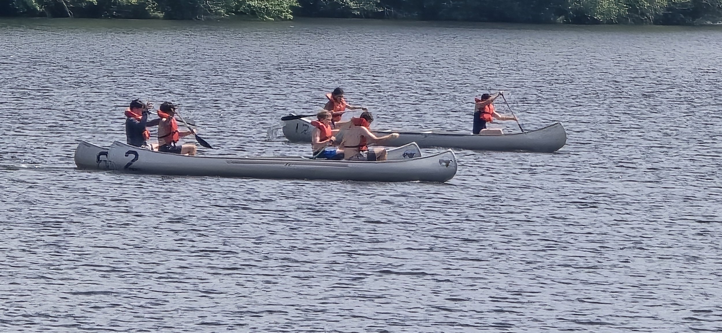 canoe-race.jpg