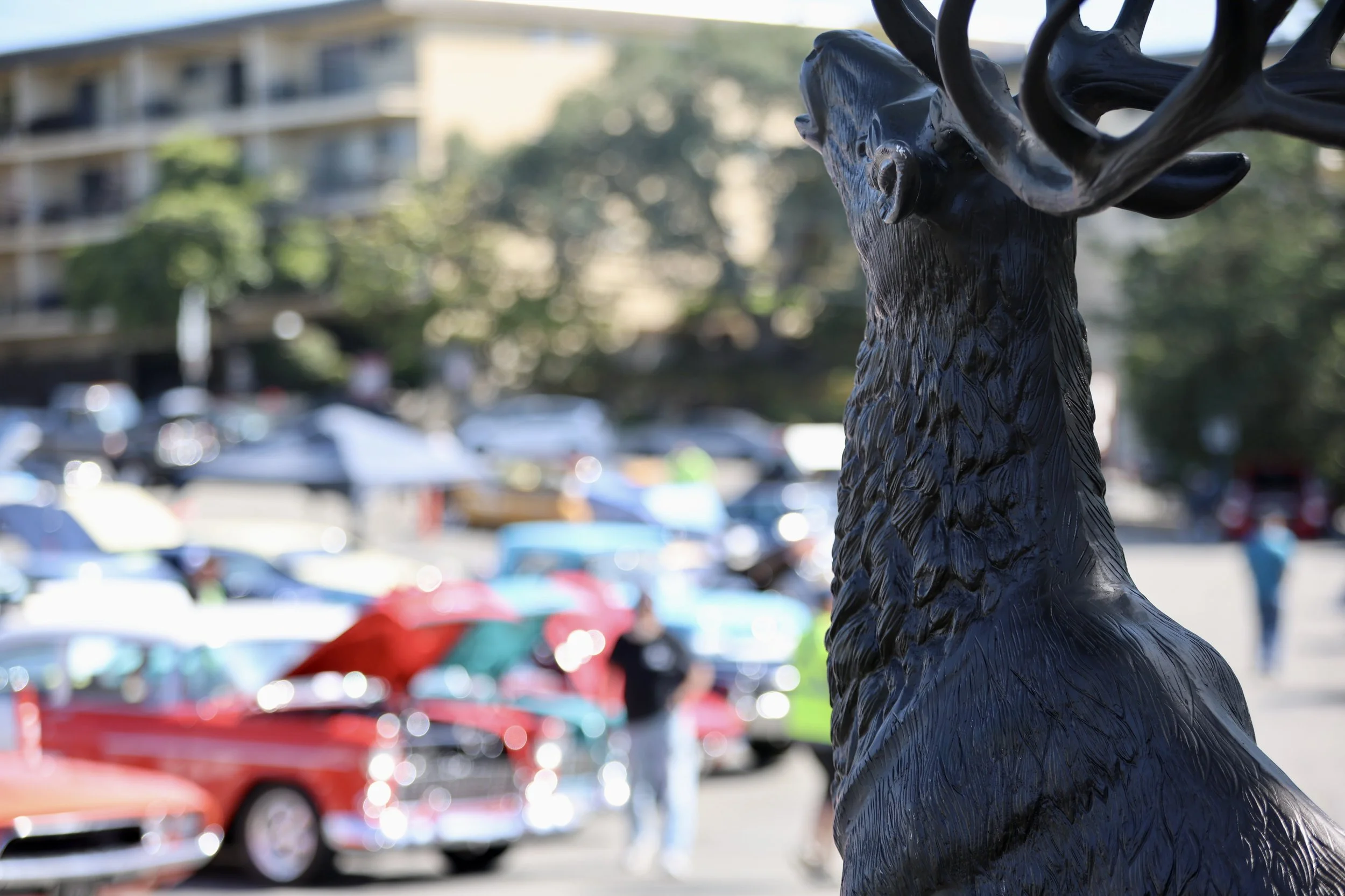 Elks Car Show Band