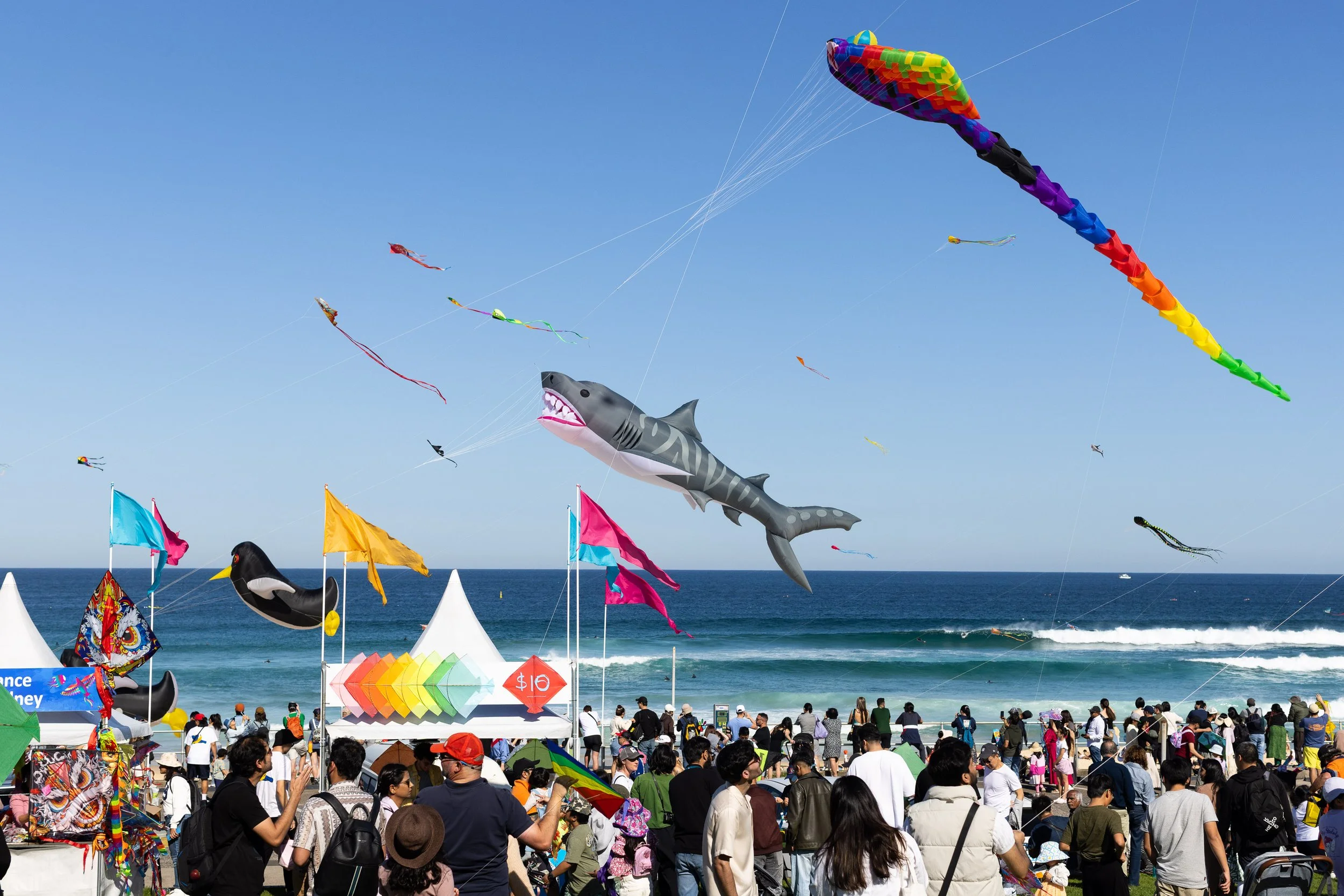 Mister Ott - Festival of the Winds Bondi Beach