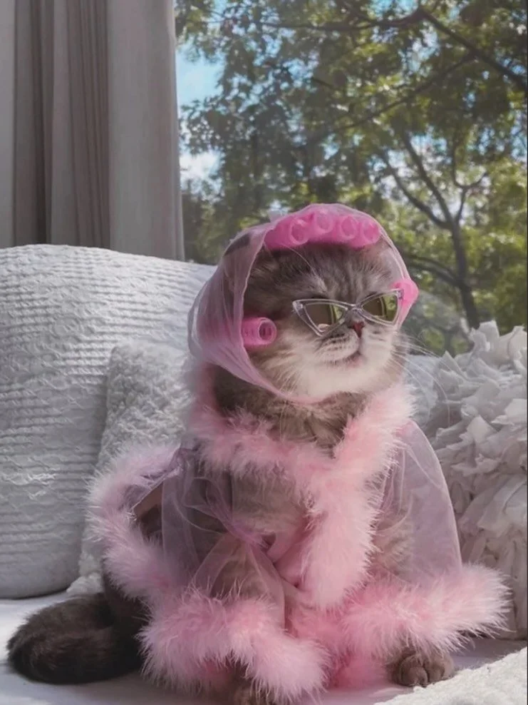 Friday mood: unbothered. As certified cat lovers, the BONNEE team fully approves this look 💅

Image credit unknown. Please DM us if you know the original source so we can give proper credit.

#fridaymood #clothingswapapp #cat #style #fashion