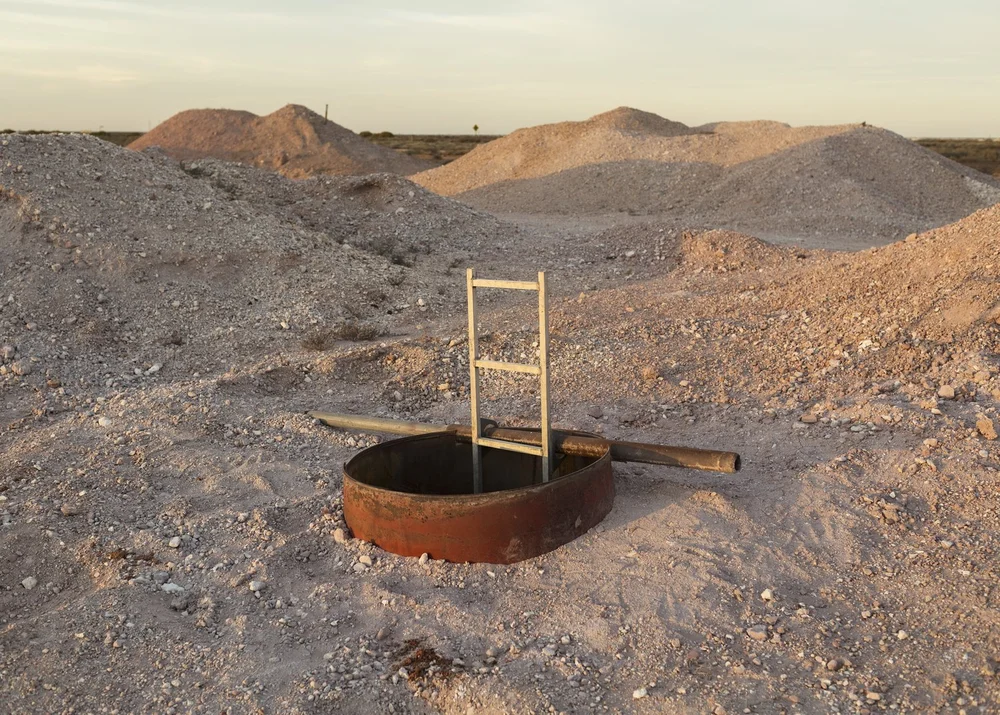 Rough Cut Abigail Varney