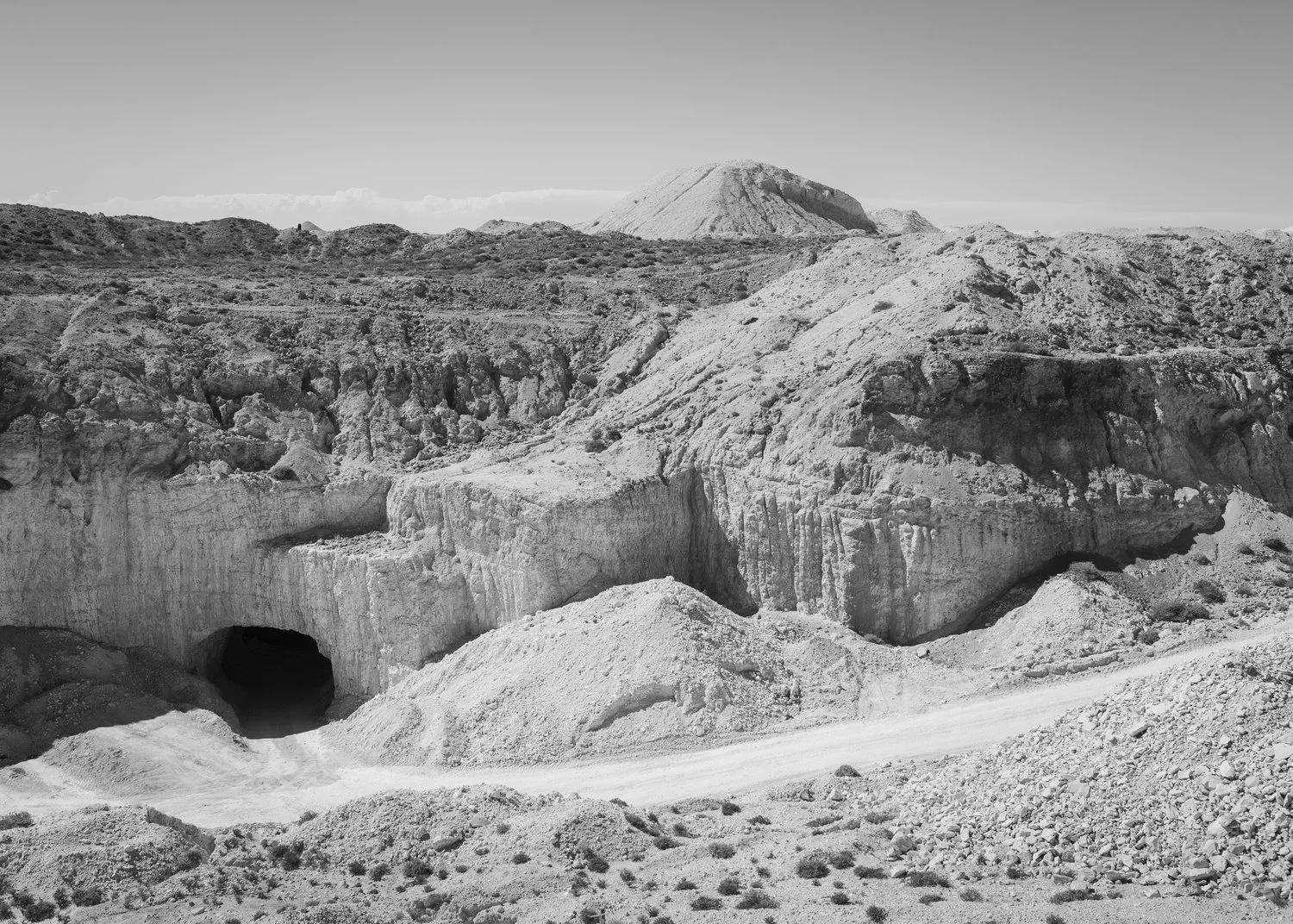 Rough Cut Abigail Varney