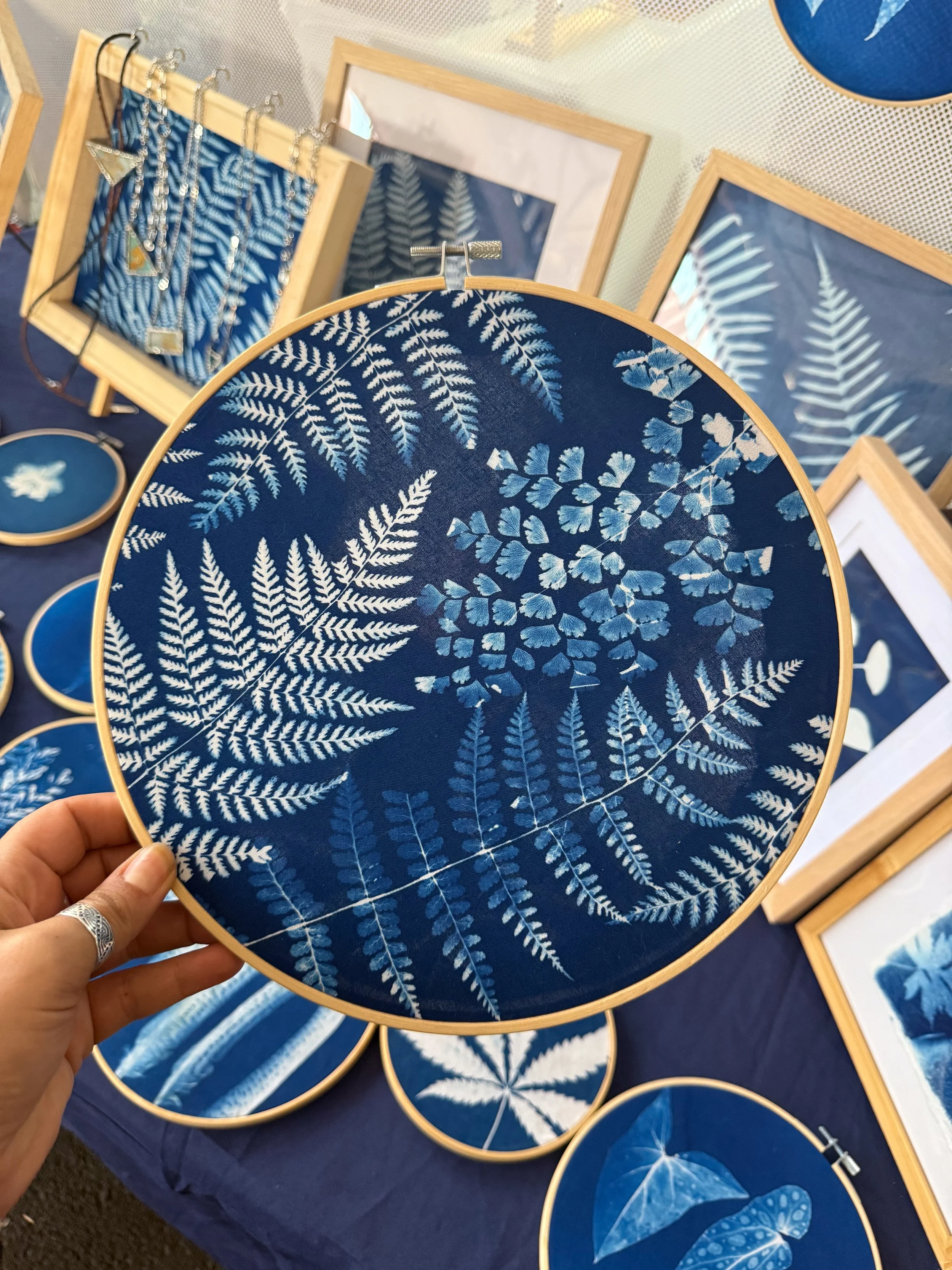 Assorted Ferns - 10 in hoop