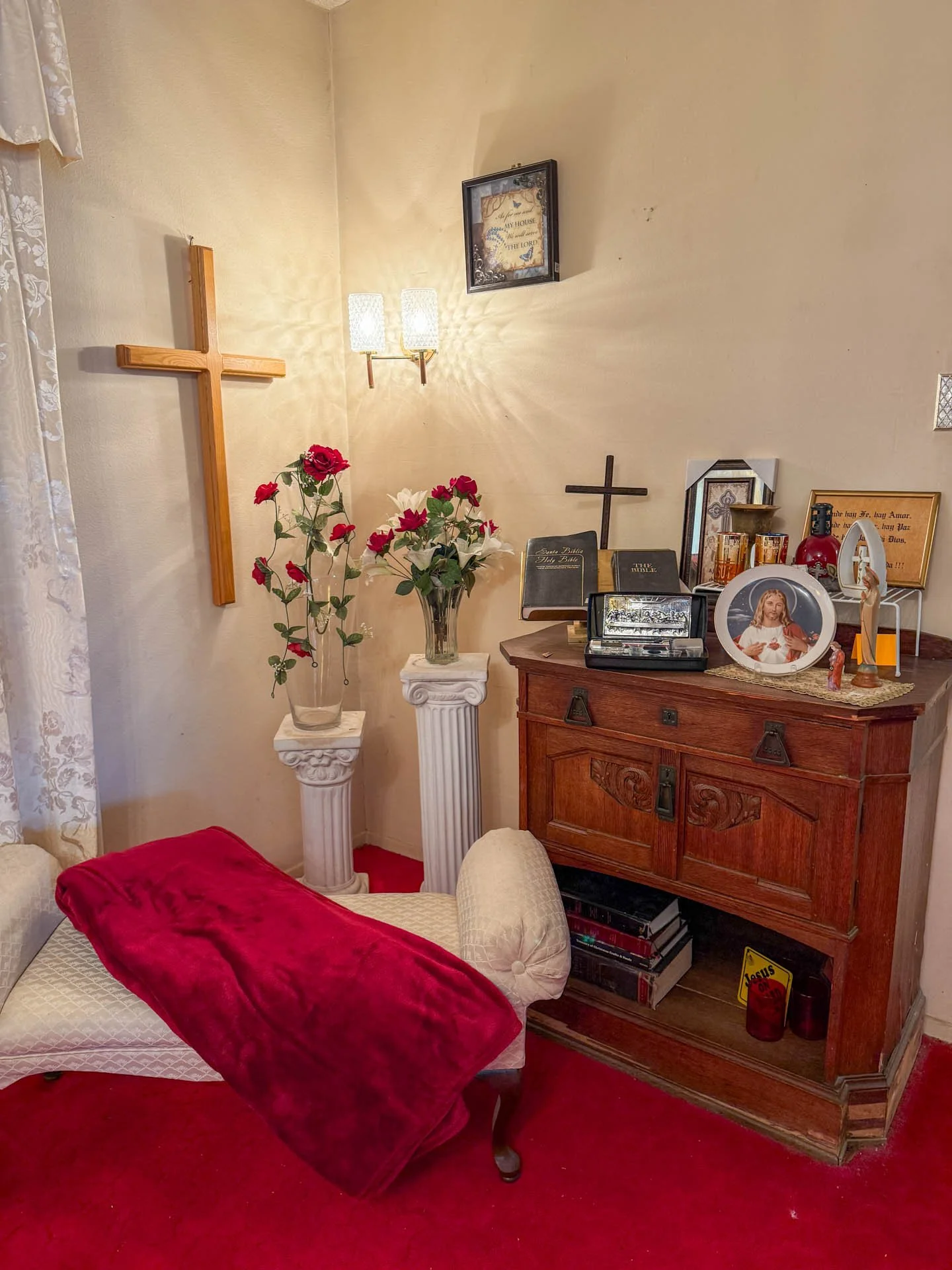 9549 Pistacio-20260218-0001.jpg