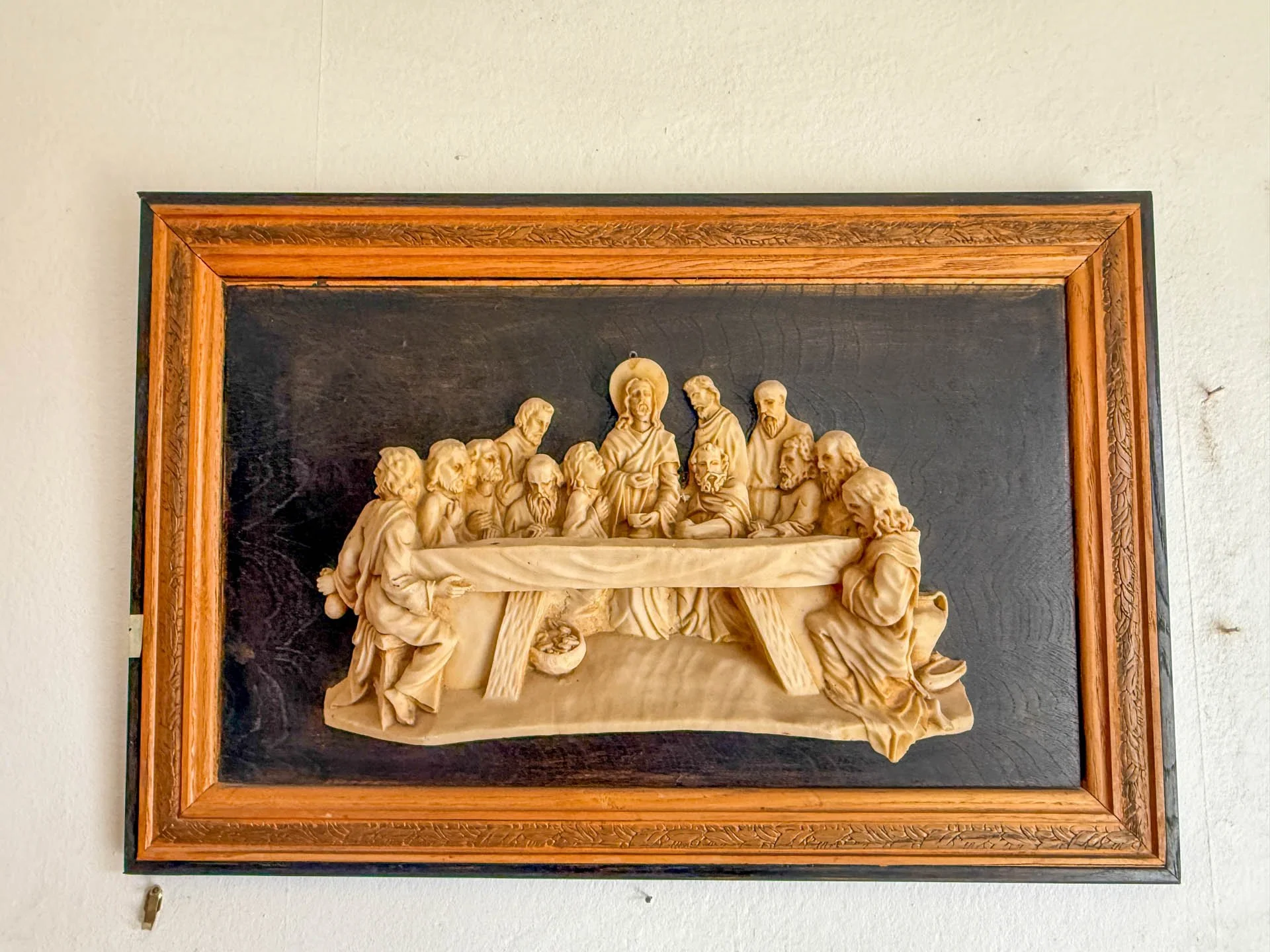 9549 Pistacio-20260218-0008.jpg