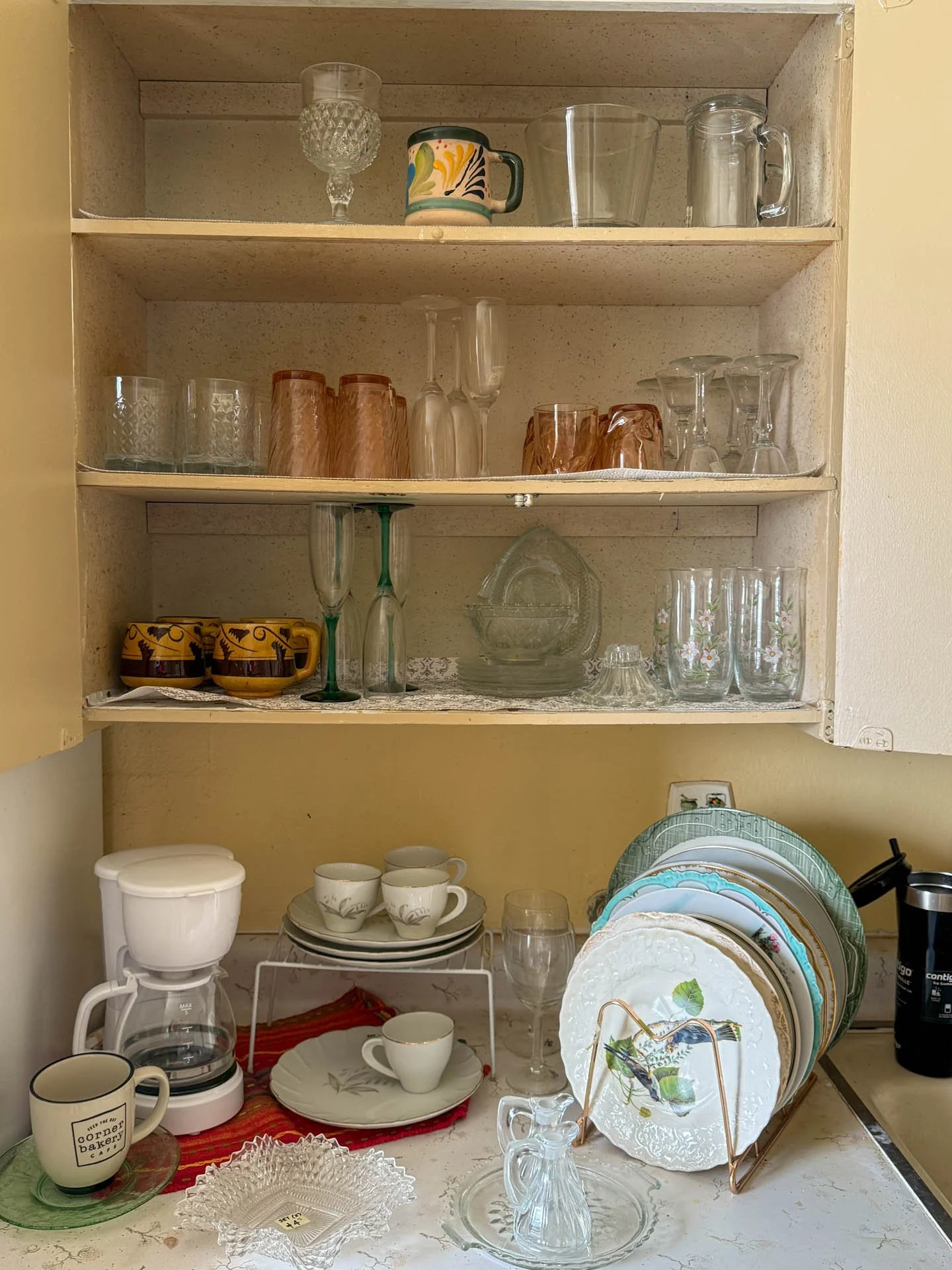 9549 Pistacio-20260218-0016.jpg