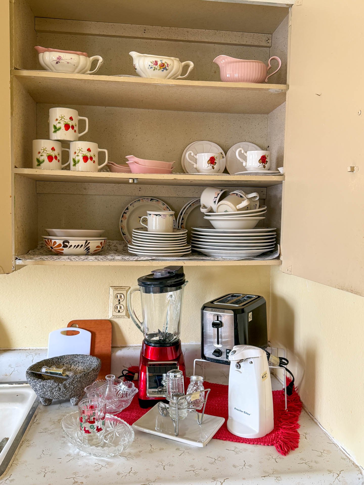 9549 Pistacio-20260218-0017.jpg